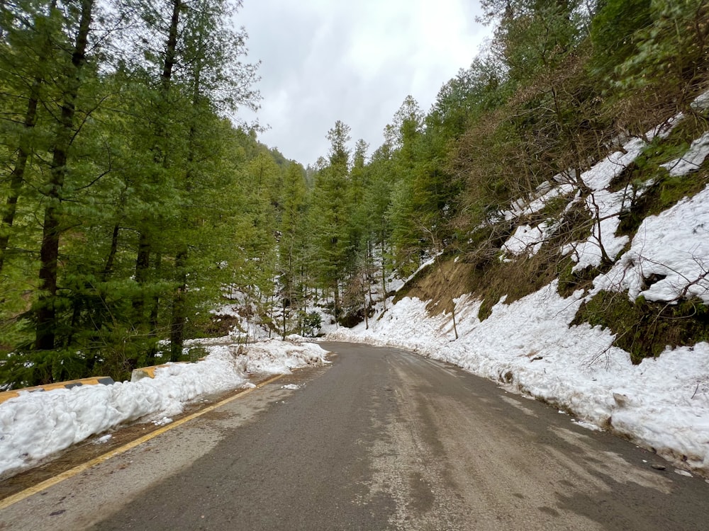 a snow covered road in the middle of a forest