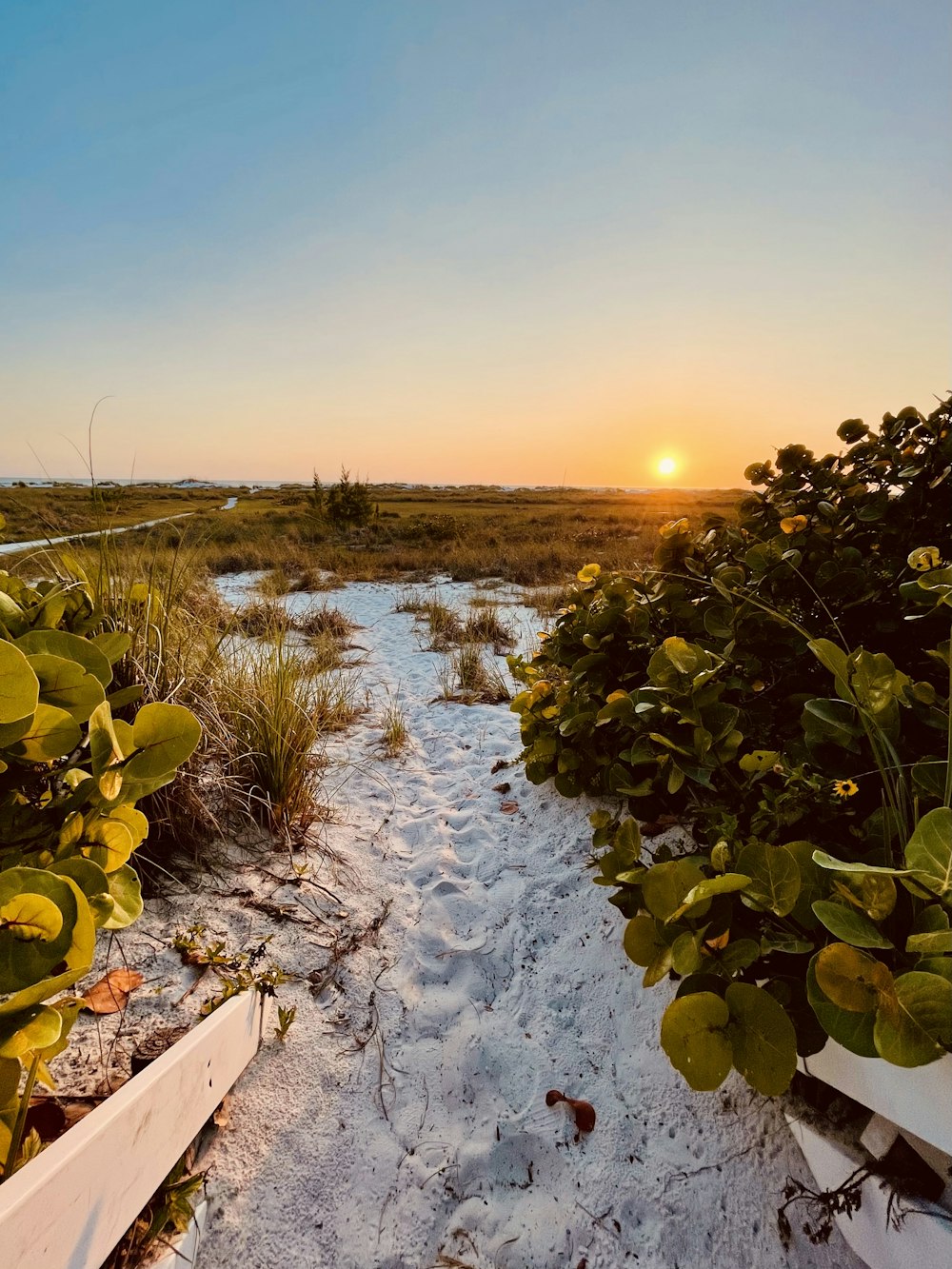 the sun is setting over a sandy beach