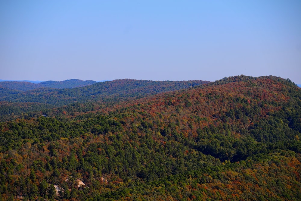 a view of a mountain range with trees in the foreground