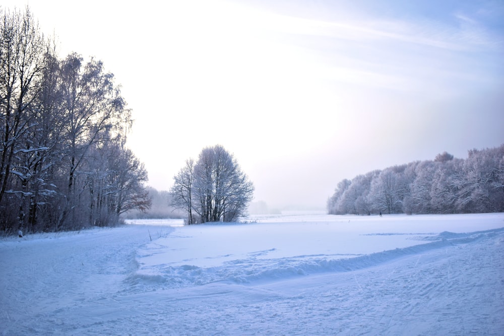 a snow covered field with trees in the background