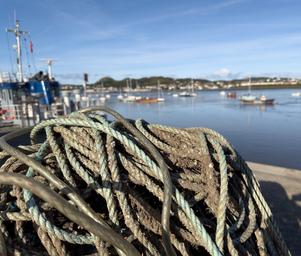 a pile of rope sitting next to a body of water