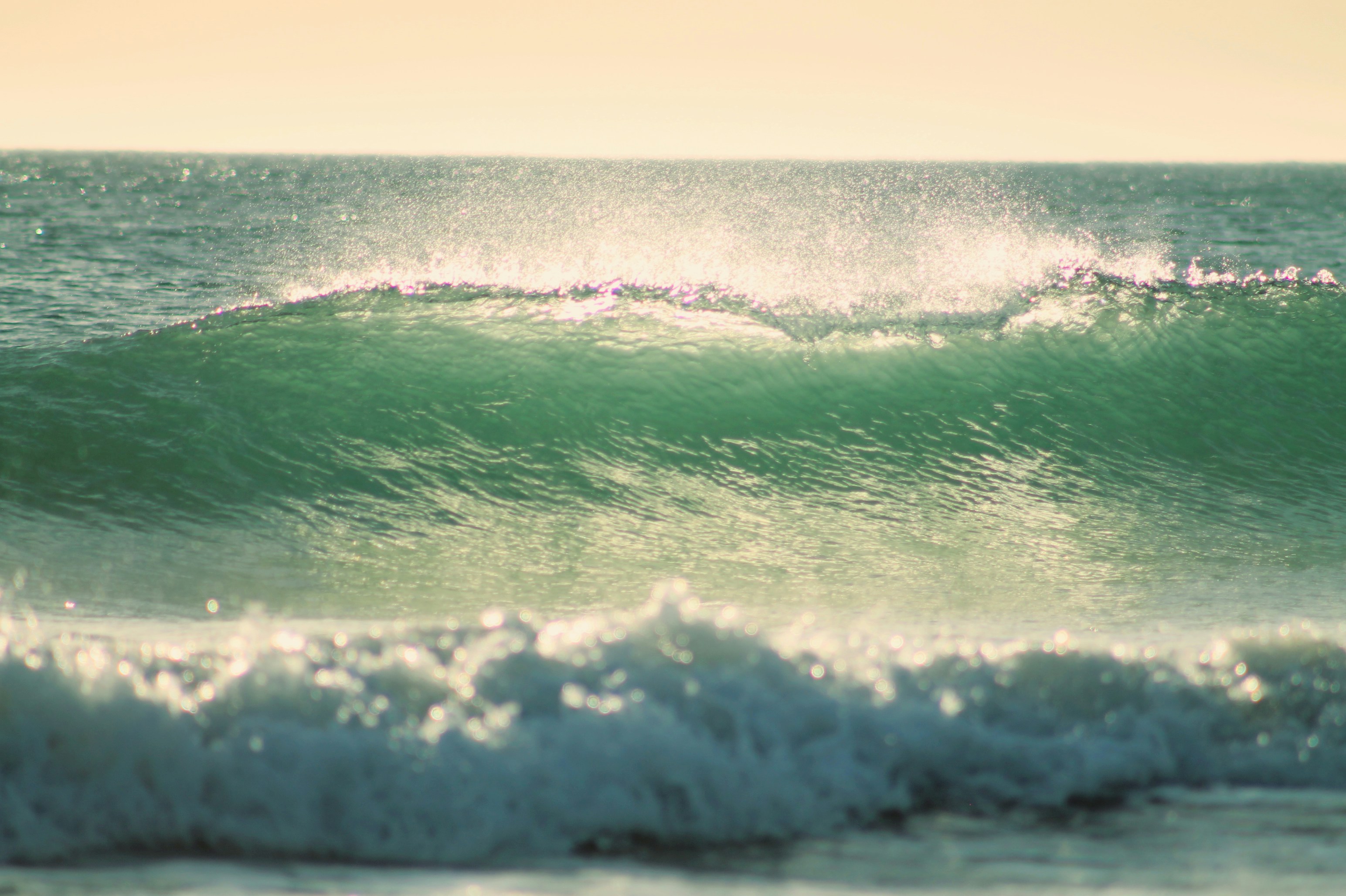 Photo by pixelwavephotography