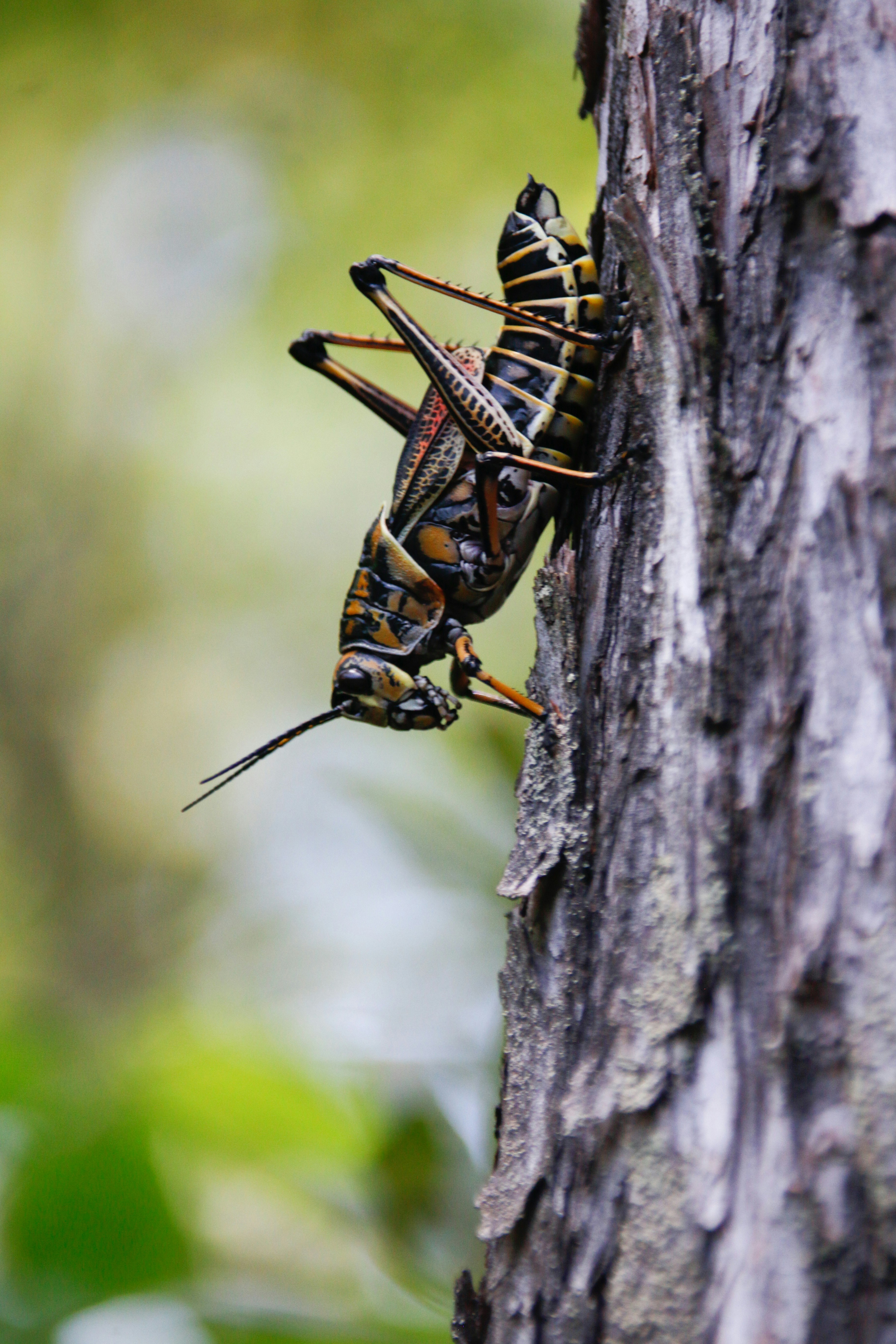 Photo by alla_kemelmakher