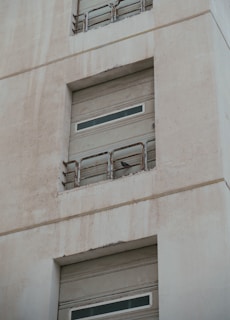 Wide shot showing a building facade protected by pigeon safety nets installed by Arjilli Enterprises.