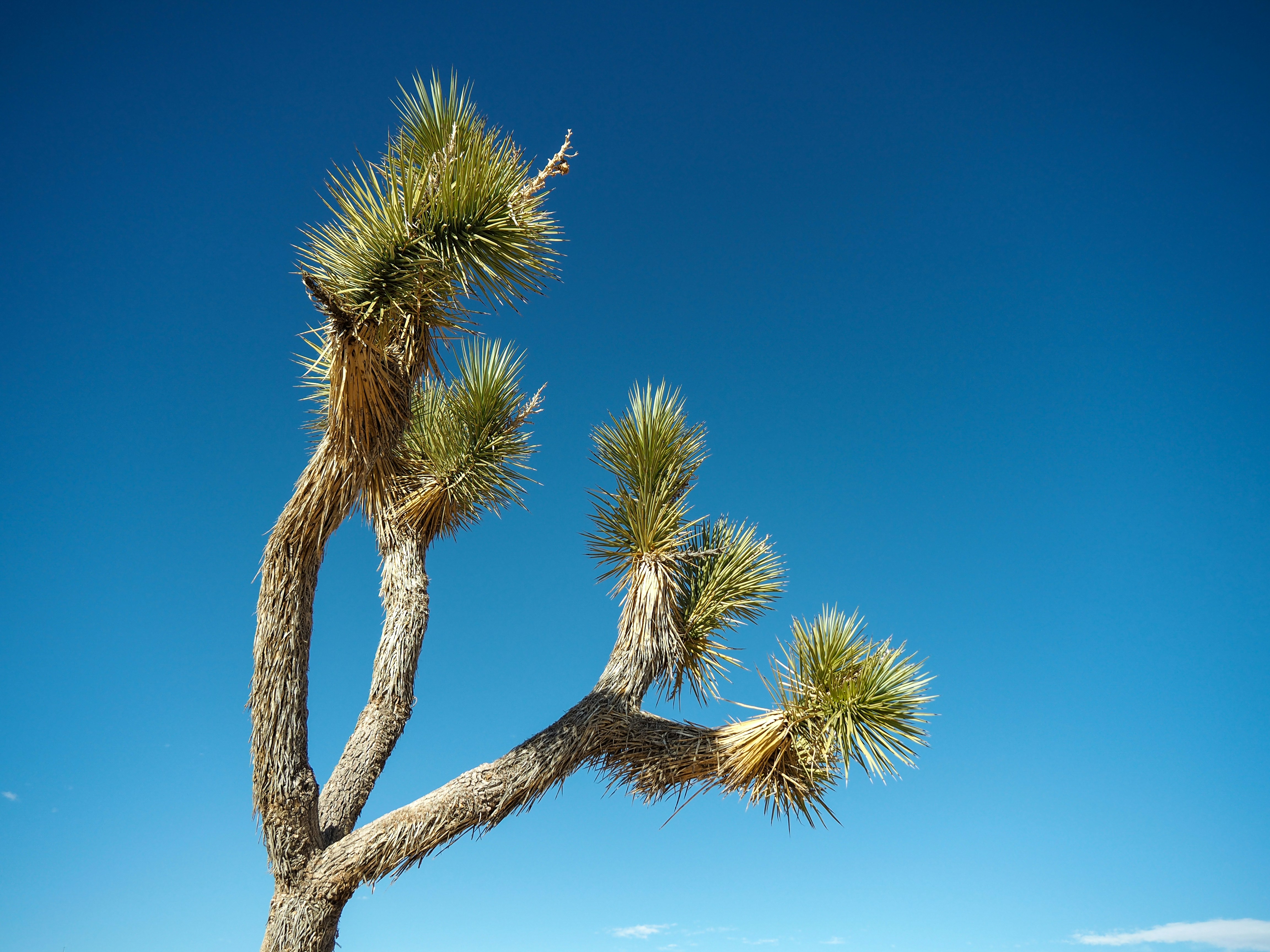 Photo by skyhung1228