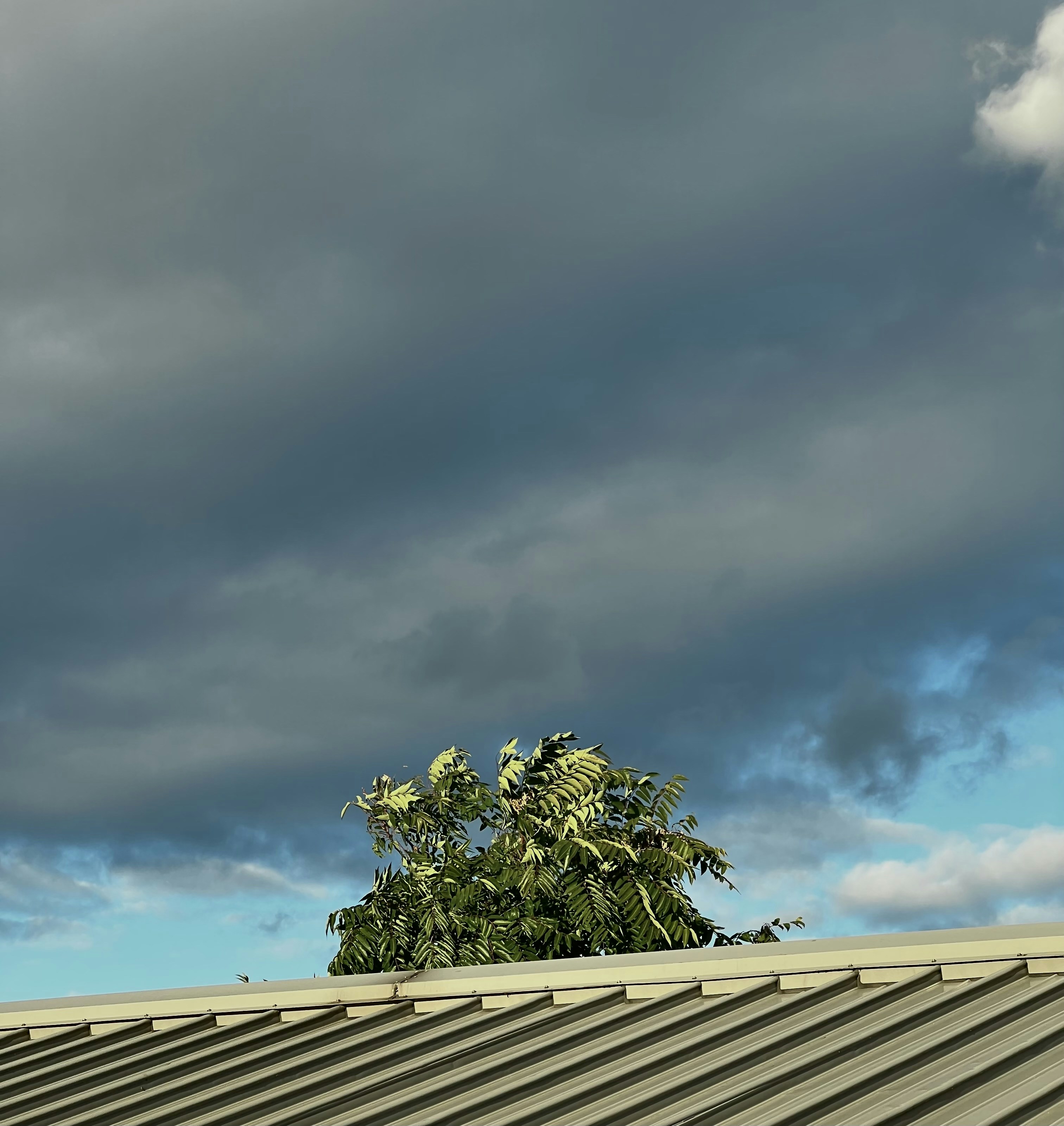 Photo by vcookline7614