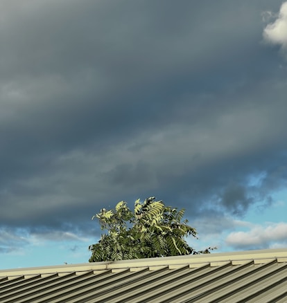 A metal roof with green corrugated sheets is in the foreground, with a tree visible behind it. The sky is covered with dark, heavy clouds, suggesting an overcast or stormy weather, while some blue patches are peeking through.