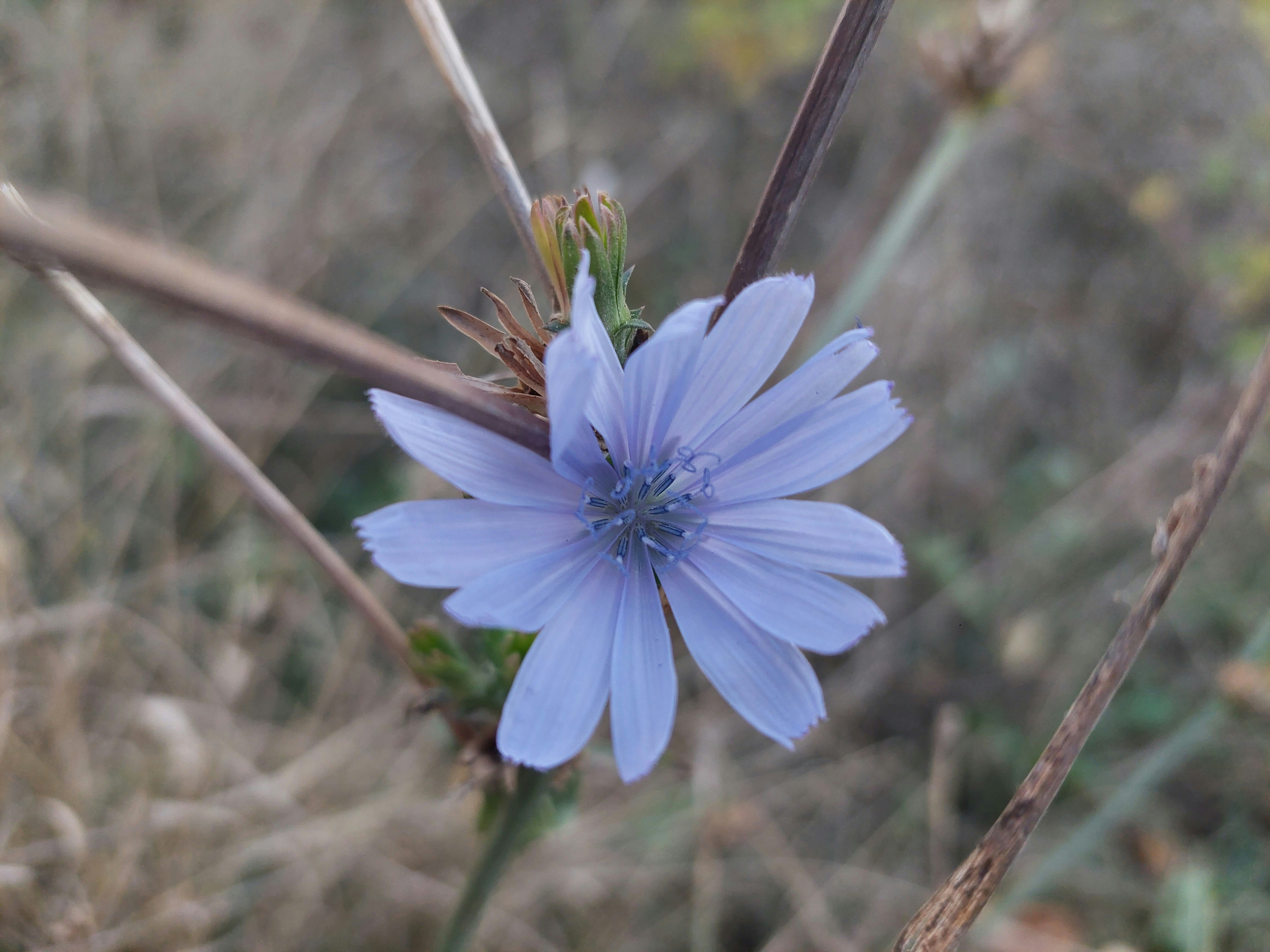 Photo by desislava_ivanova