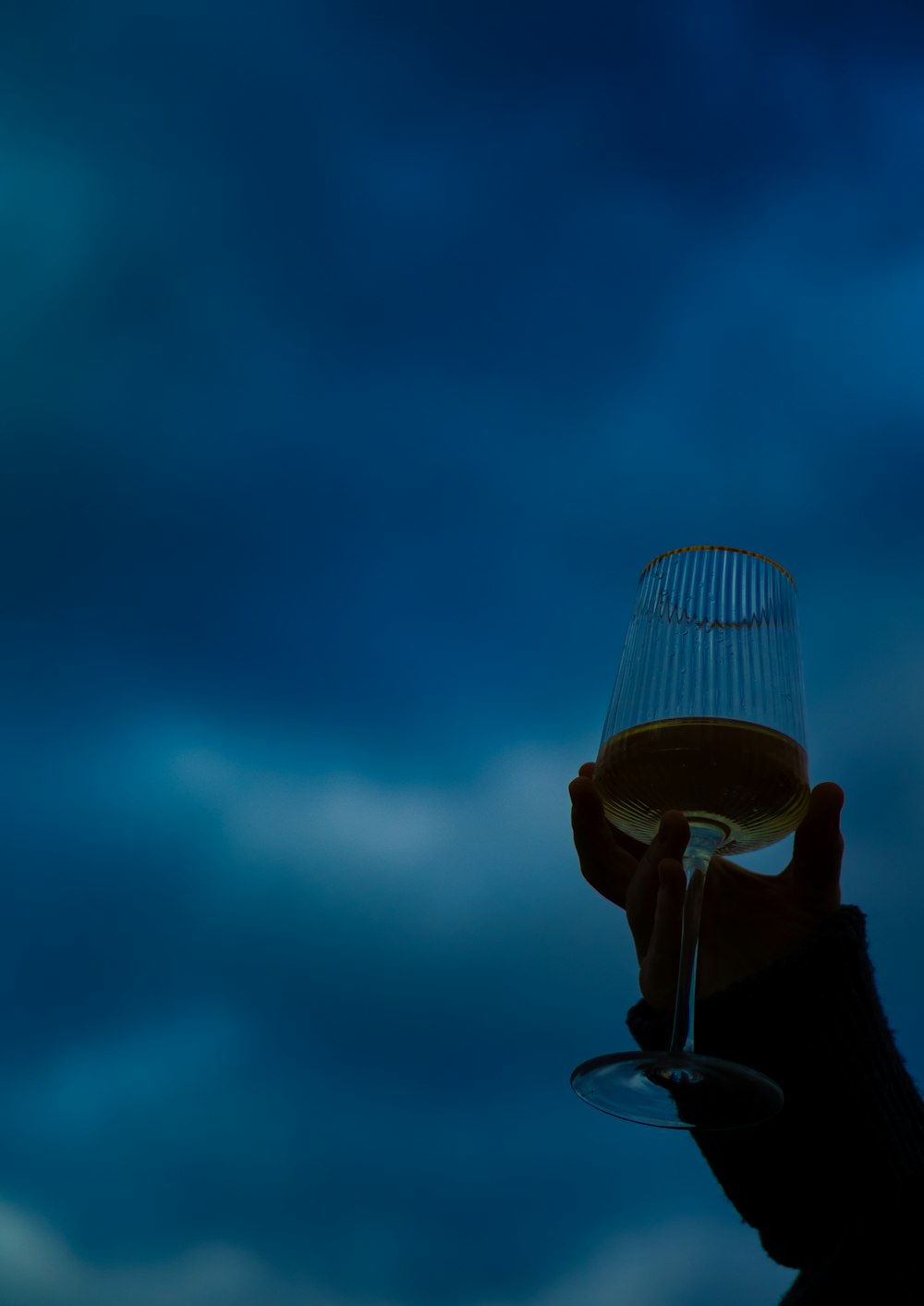 a person holding a wine glass up in the air