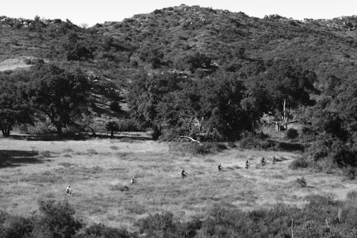 A group of cyclists rides along a grassy landscape with rolling hills in the background. Trees and shrubs are scattered throughout the scene, creating a natural, rugged environment. The black and white tone adds a timeless quality to the image.