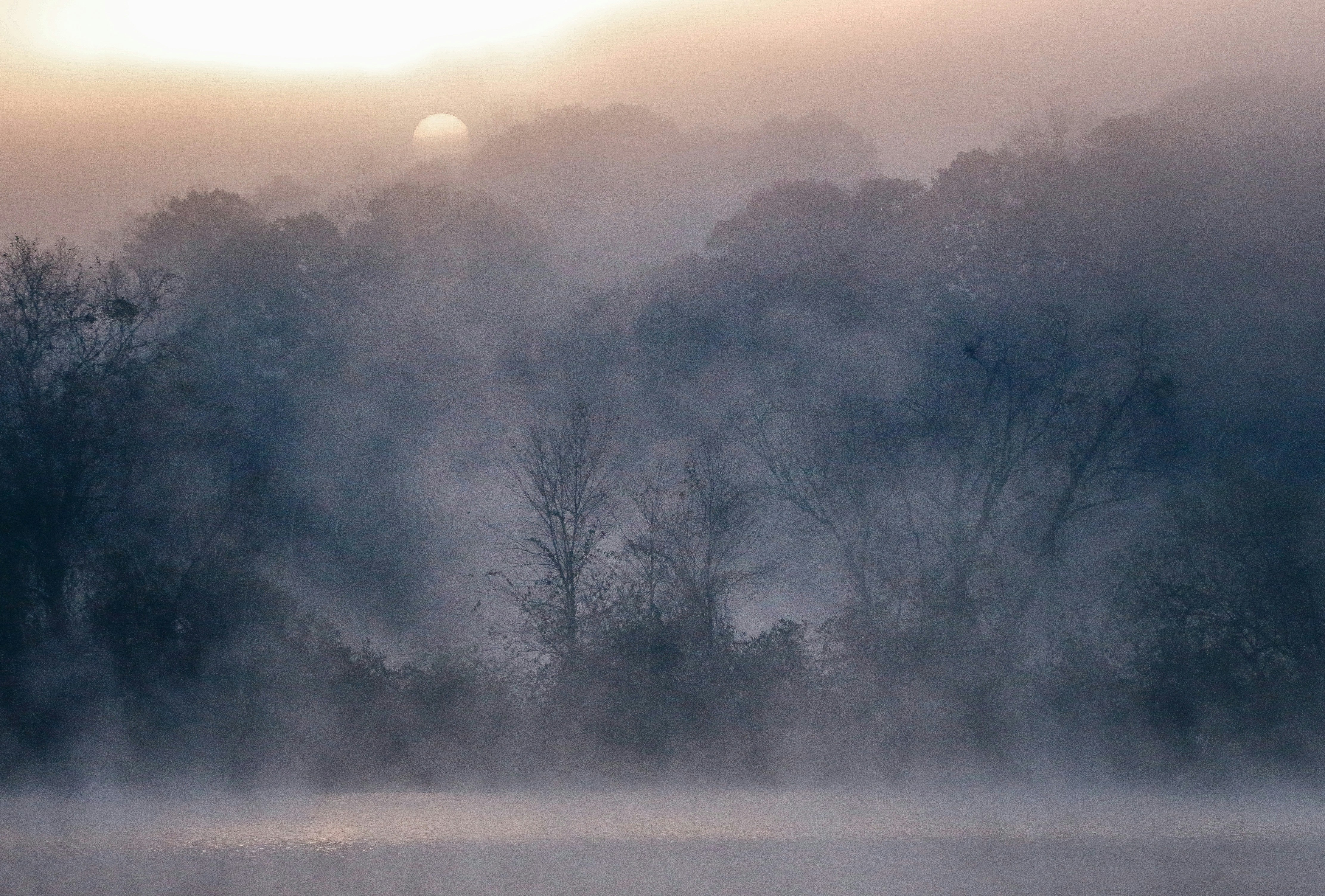 Photo by alla_kemelmakher