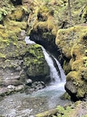 A serene waterfall cascades between moss-covered rocks into a clear, tranquil pool. Lush greenery surrounds the scene, creating a peaceful and natural atmosphere.