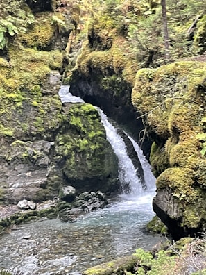 A serene waterfall cascades between moss-covered rocks into a clear, tranquil pool. Lush greenery surrounds the scene, creating a peaceful and natural atmosphere.