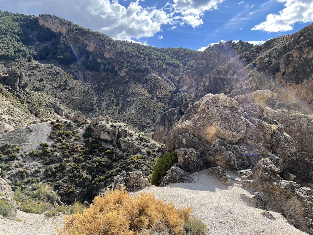 the sun shines brightly on the rocky terrain