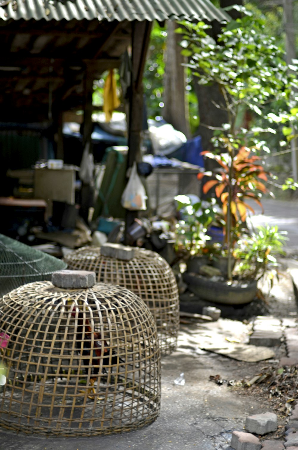 quelques cages qui sont posées sur le sol