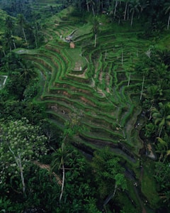 Panduan Bali untuk Australia
