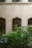 Detailed architectural facade with arched windows and intricate carvings above, surrounded by lush green plants in the foreground.