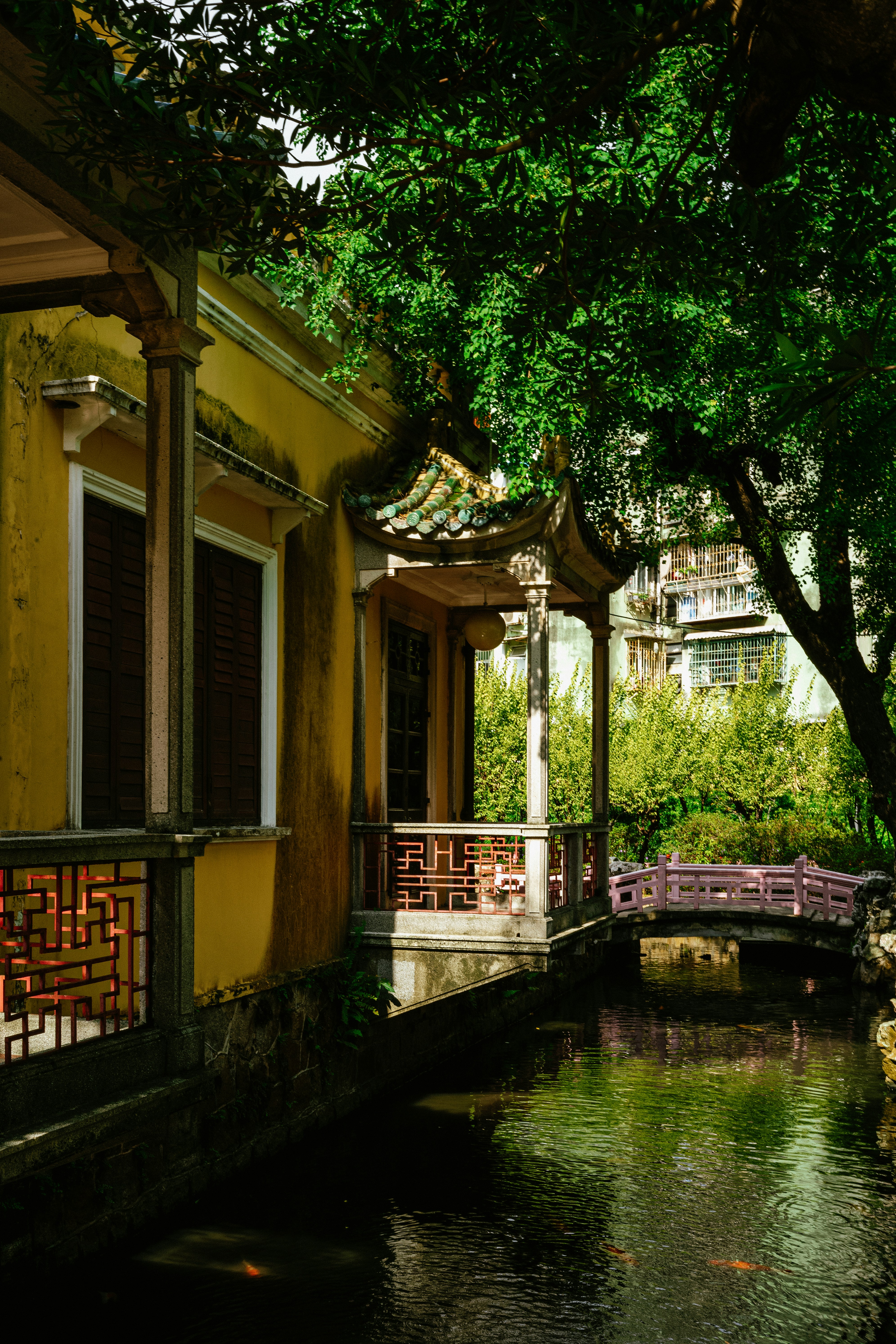 Photo by tommaomaoer