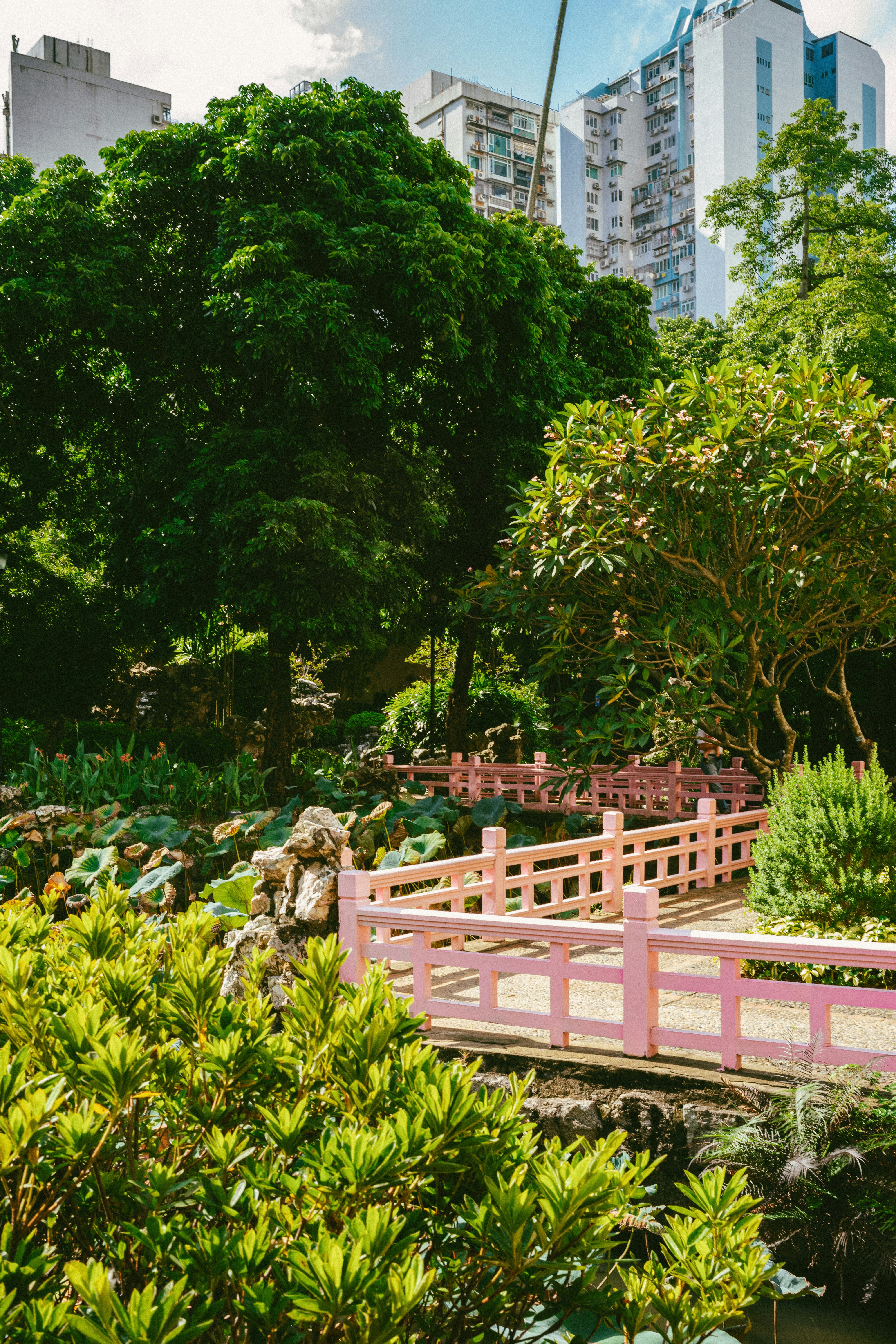 Photo by tommaomaoer