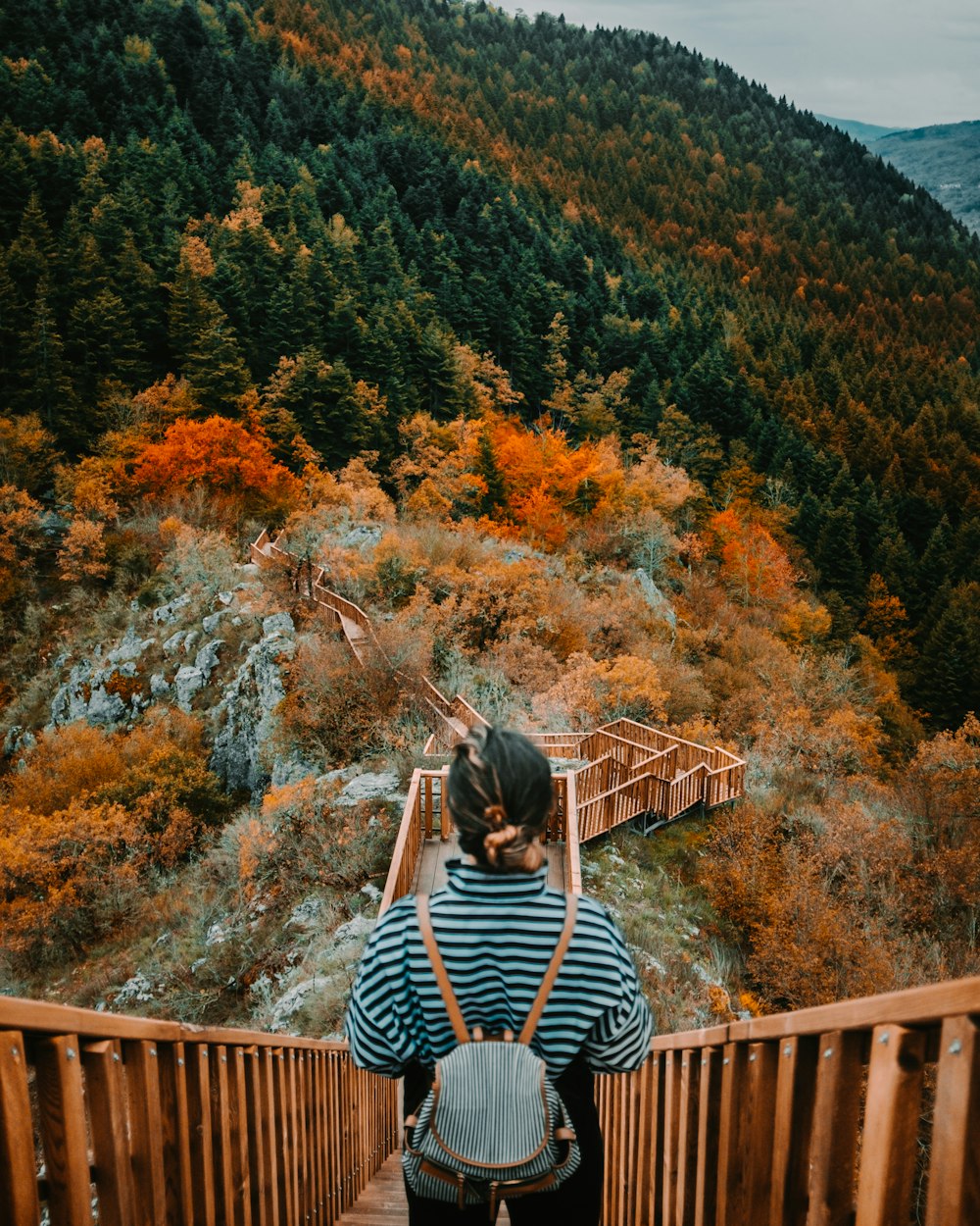 a woman standing on a wooden walkway in the mountains