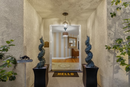 A welcoming entrance features two spiral topiary plants in black pots flanking a doorway. An ornate lantern-style light fixture hangs above, casting a warm glow. The door is open, revealing an interior with striped walls, a round mirror, a framed picture, and a wooden floor with a patterned rug. A welcome mat with the word 'HELLO' is placed at the threshold.