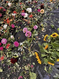 A chaotic arrangement of colorful flowers, including pink, red, yellow, and orange blooms, lies scattered on a dark, wet surface. Leaves and petals are spread unevenly, creating a sense of disorder and beauty within the natural elements.