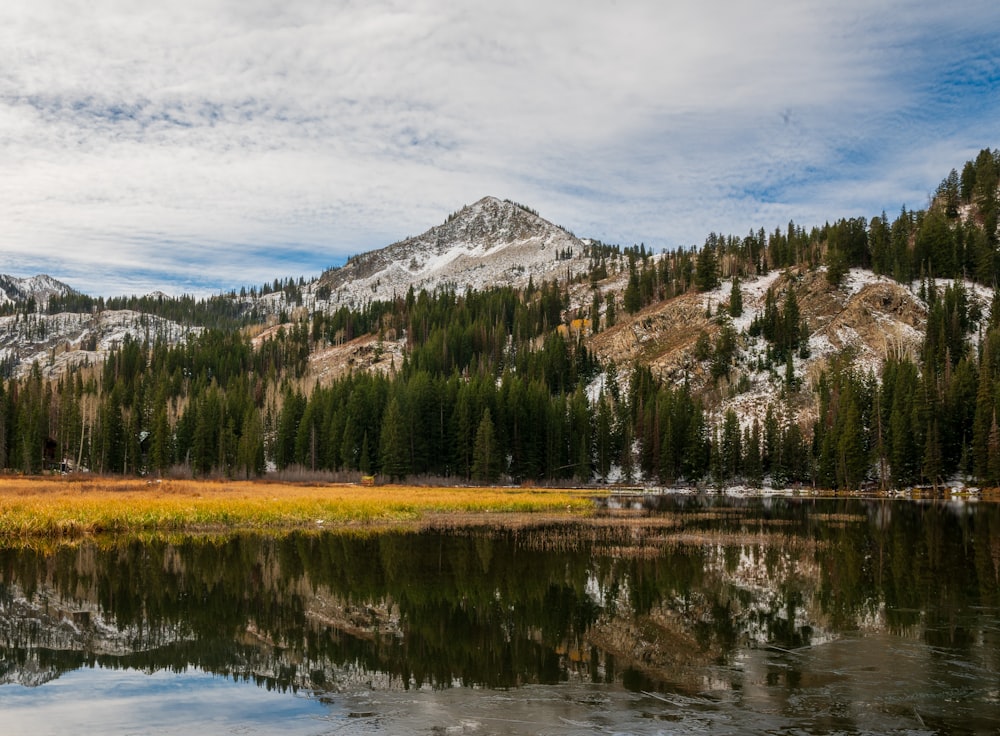 a lake surrounded by trees and a mountain