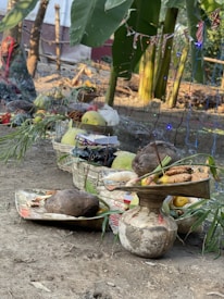 A rural setting with offerings placed on a large tray and a decorated pot. There are various fruits and items like coconuts, bananas, and incense sticks visible. Large green banana leaves and trees form the backdrop, and festive string lights are draped around the setup. A basket filled with more fruits and items sits on the ground.