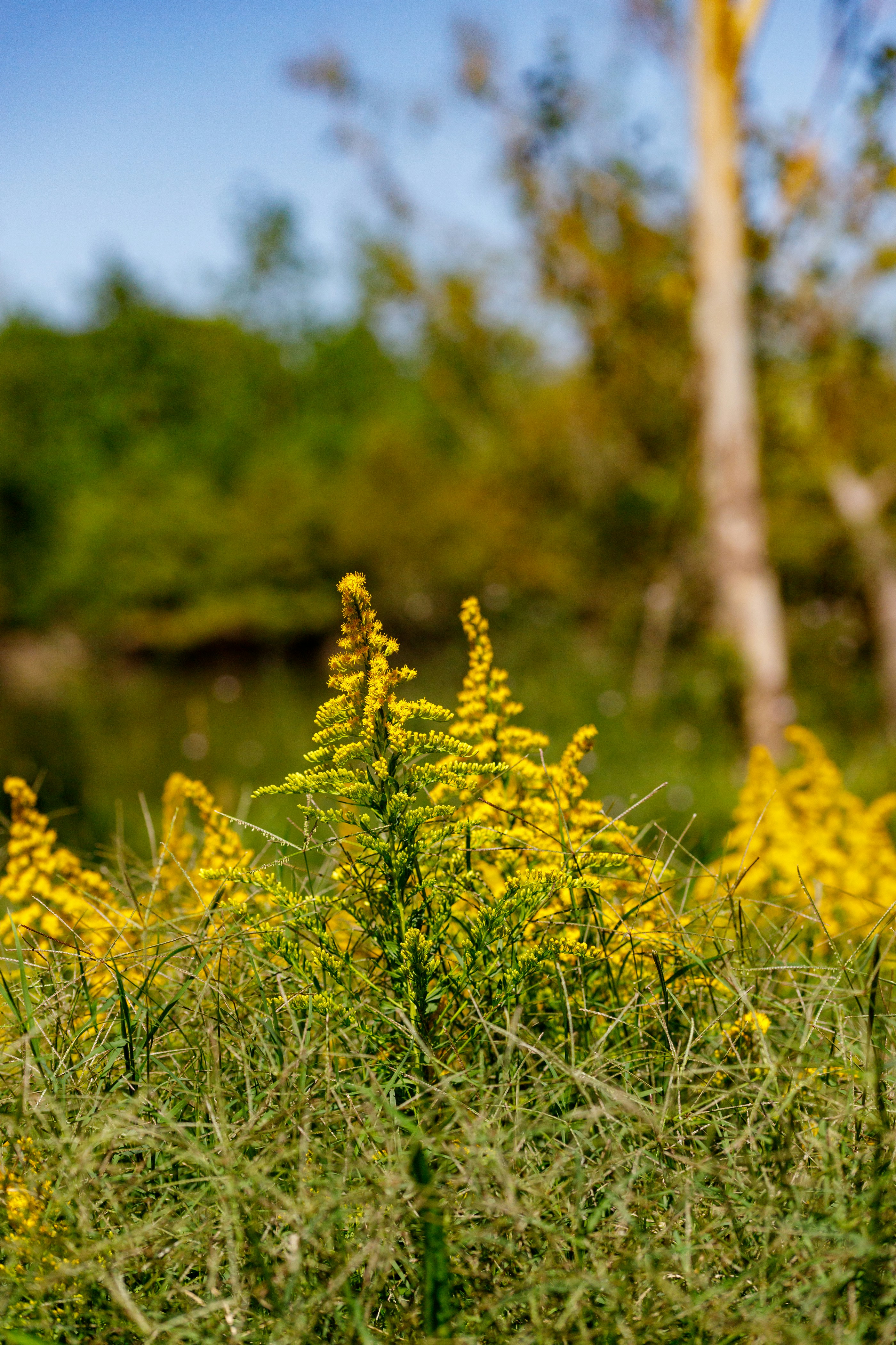 Photo by thirdcoastdad