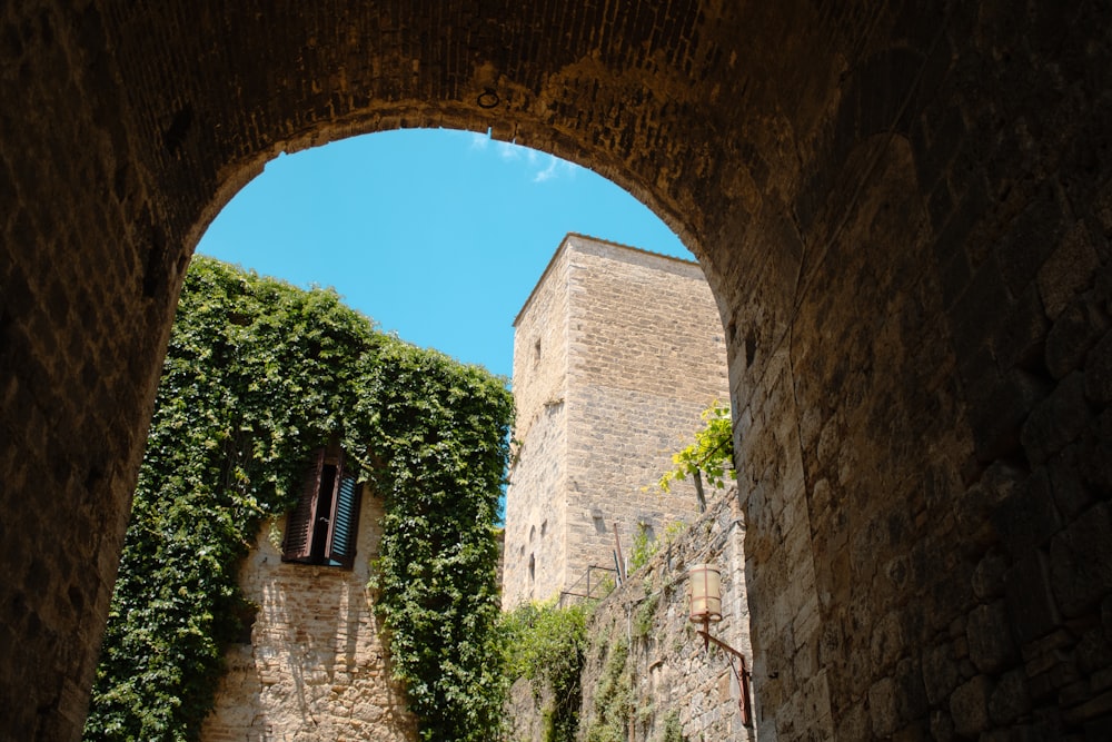 an arch in a stone building with ivy growing on it