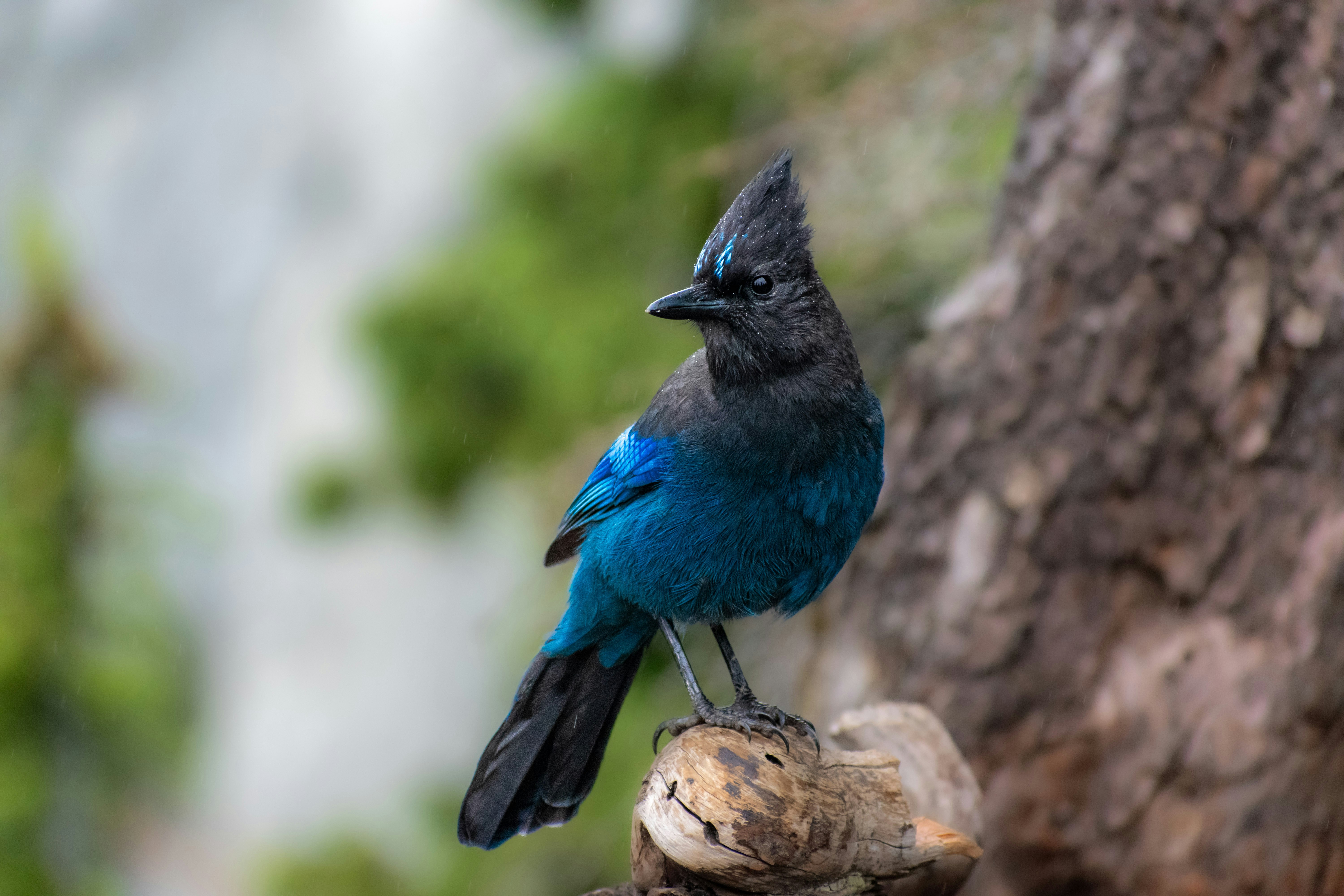 Photo by anastasiya_dal