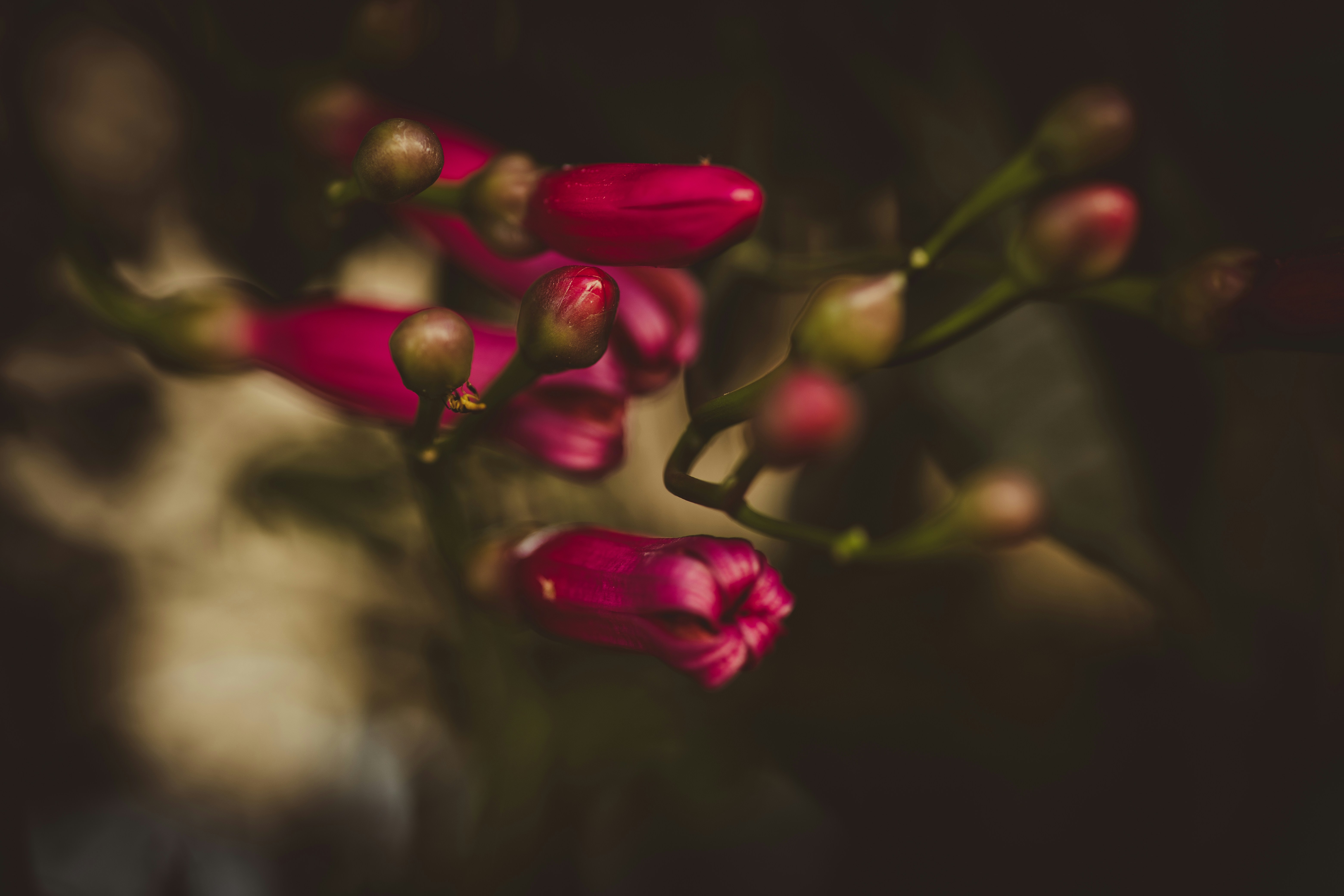 Photo by rrodriguesim