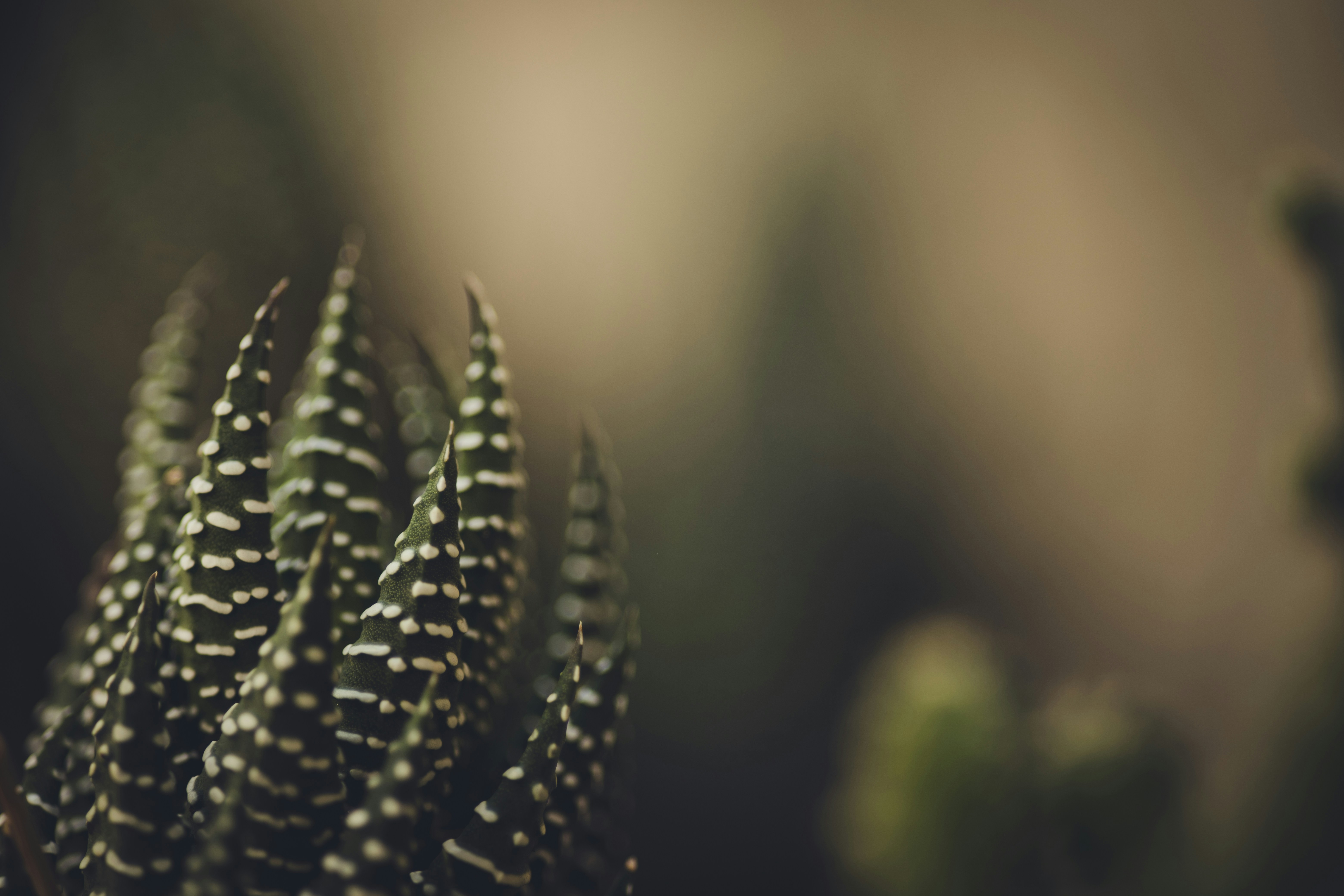 Photo by rrodriguesim