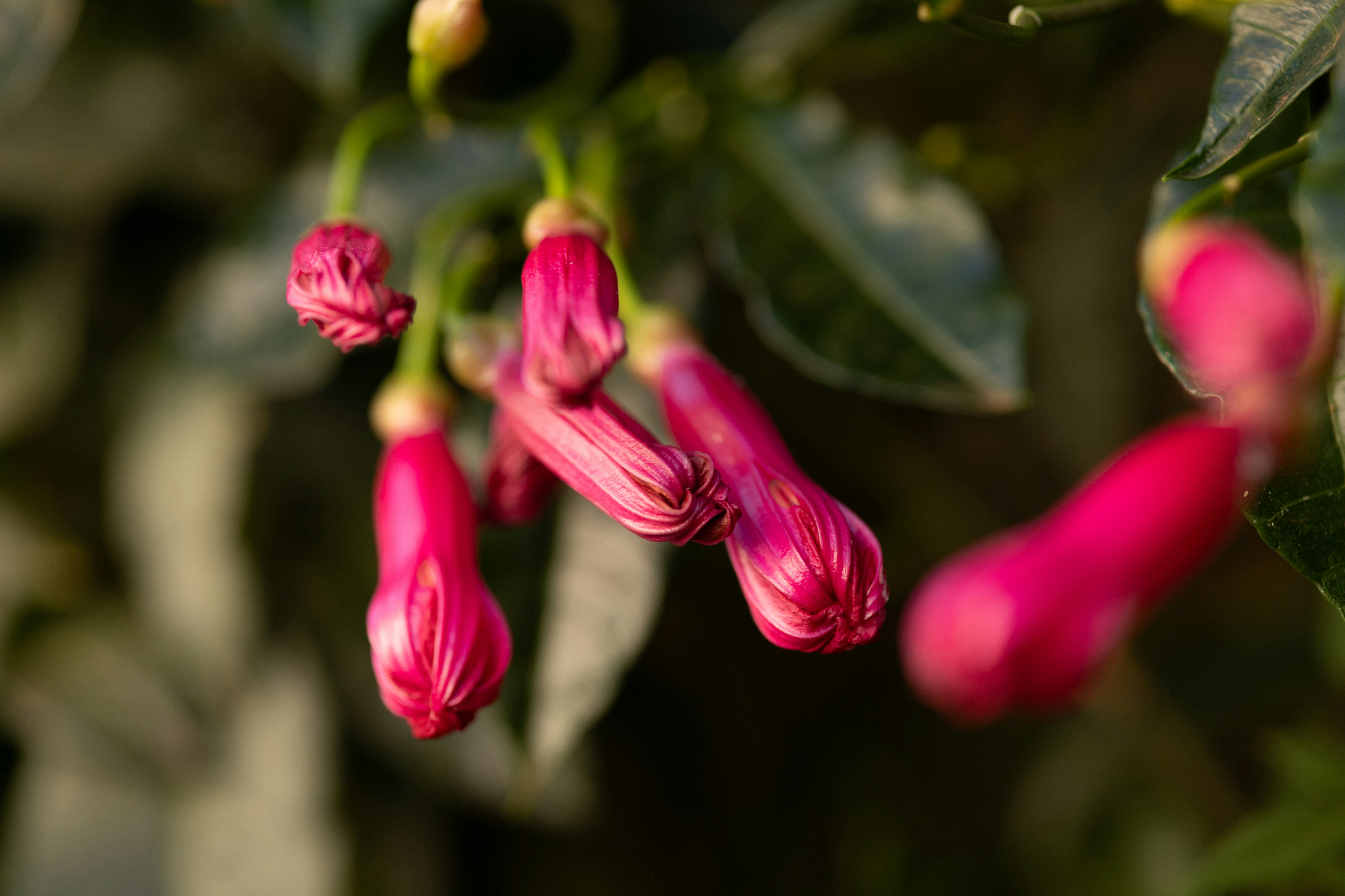 Photo by rrodriguesim