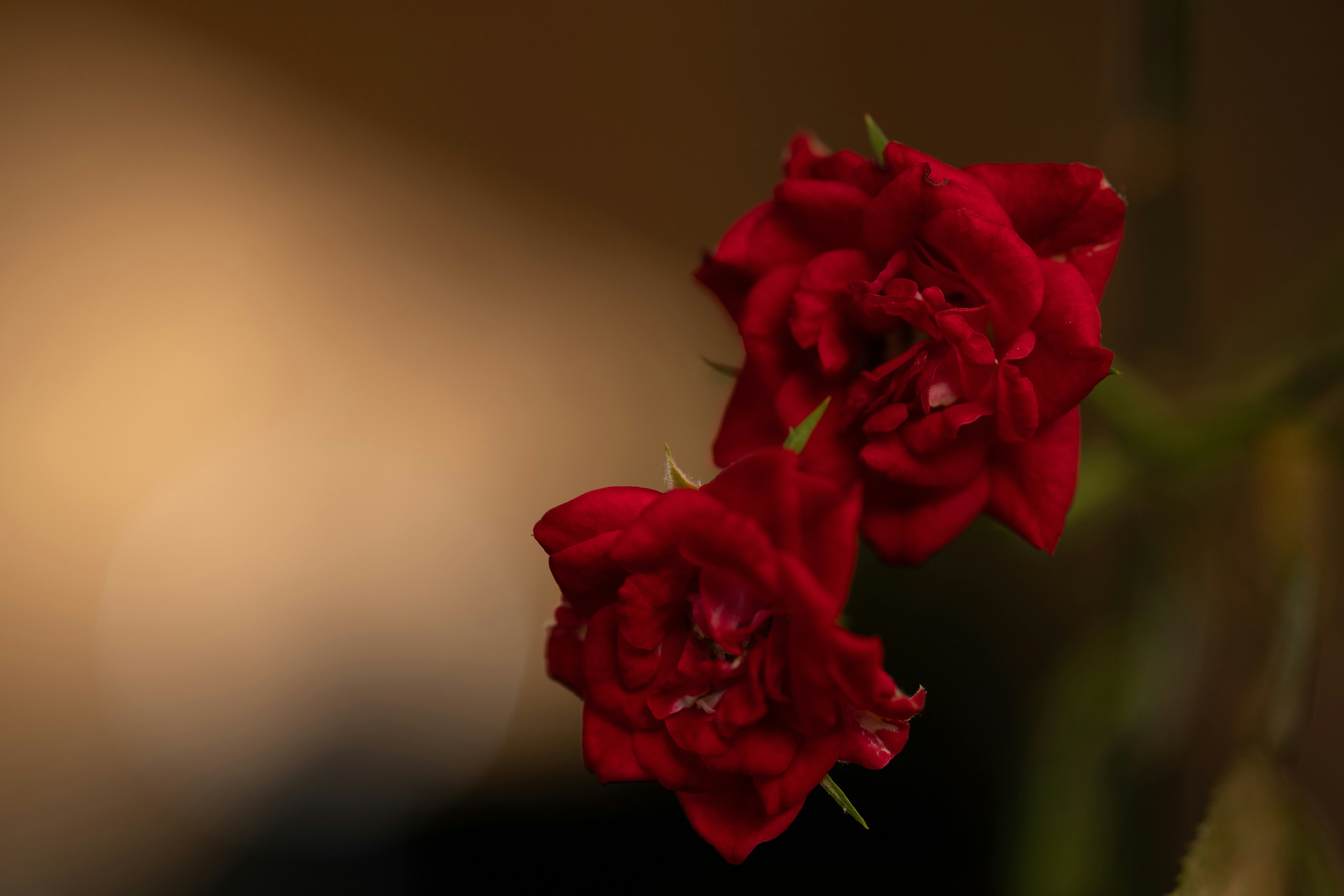 Photo by rrodriguesim