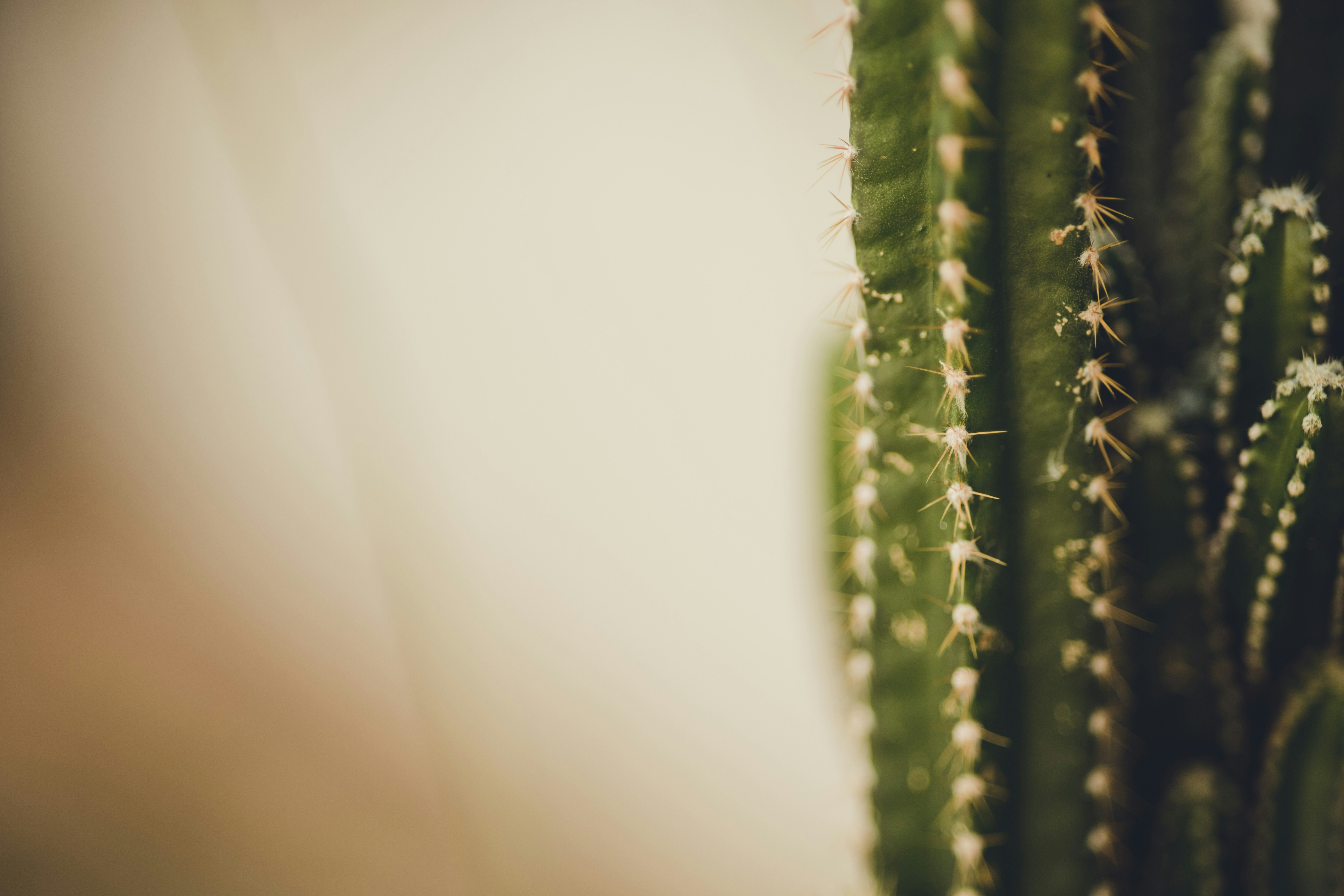 Photo by rrodriguesim