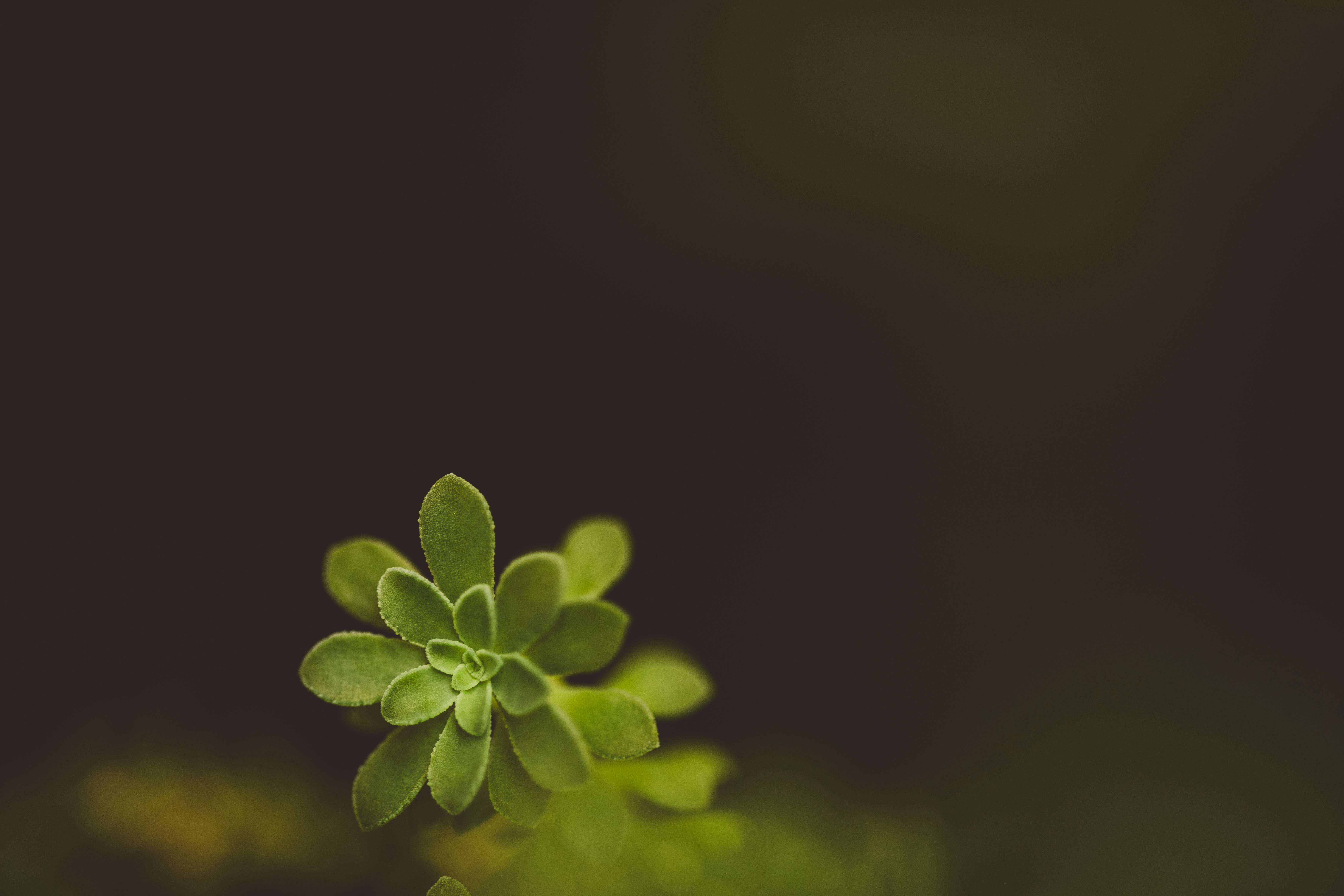 Photo by rrodriguesim