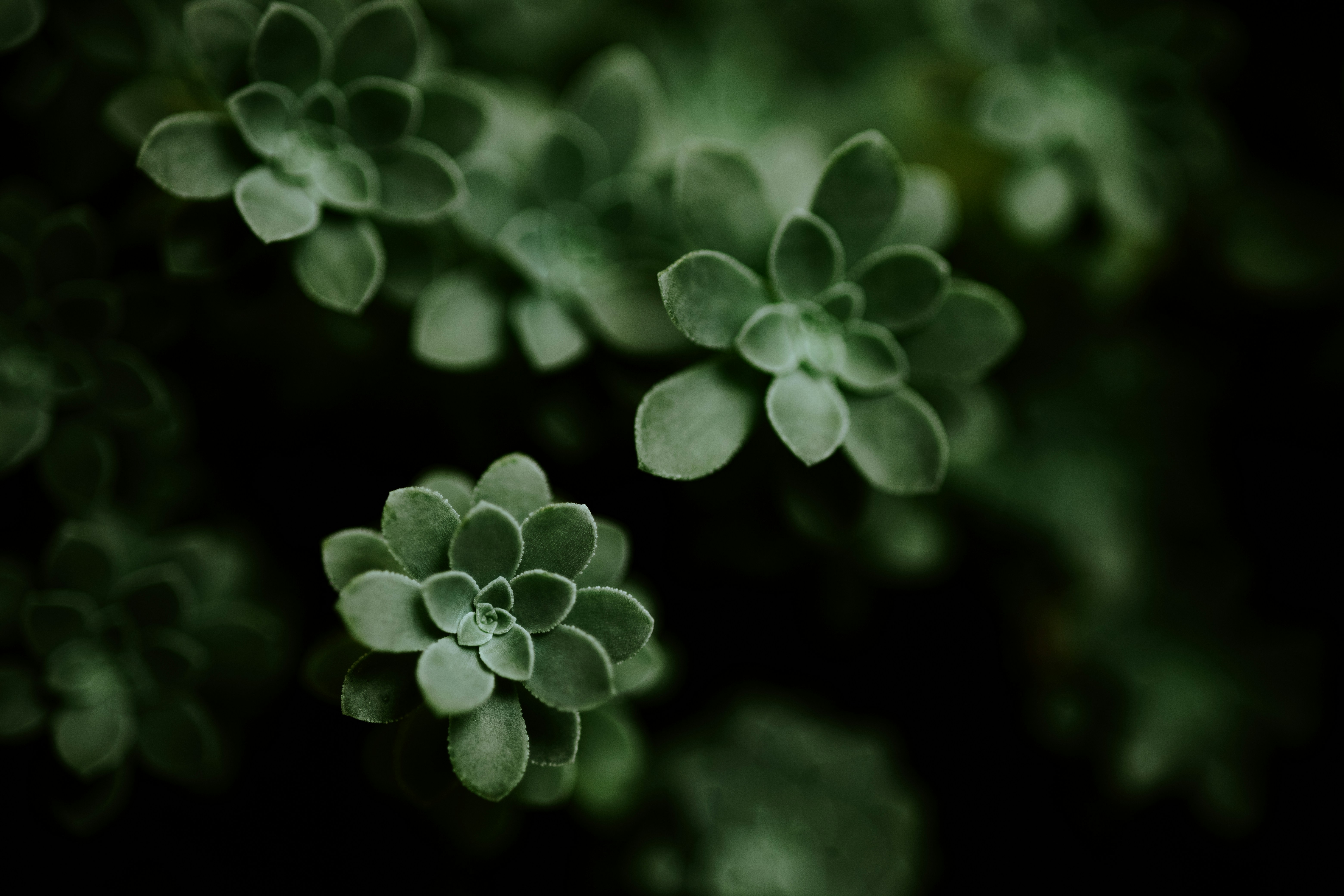 Photo by rrodriguesim