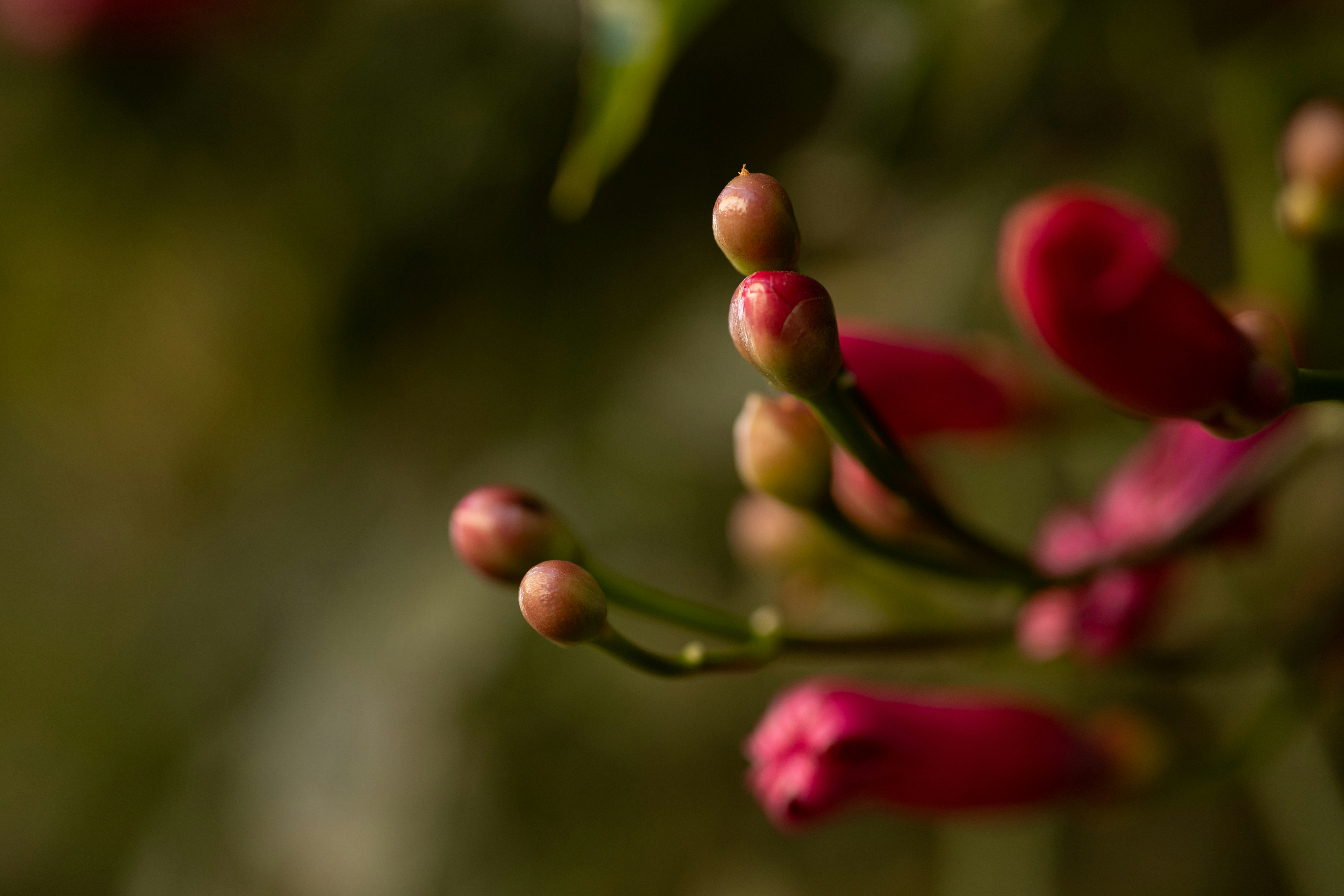 Photo by rrodriguesim