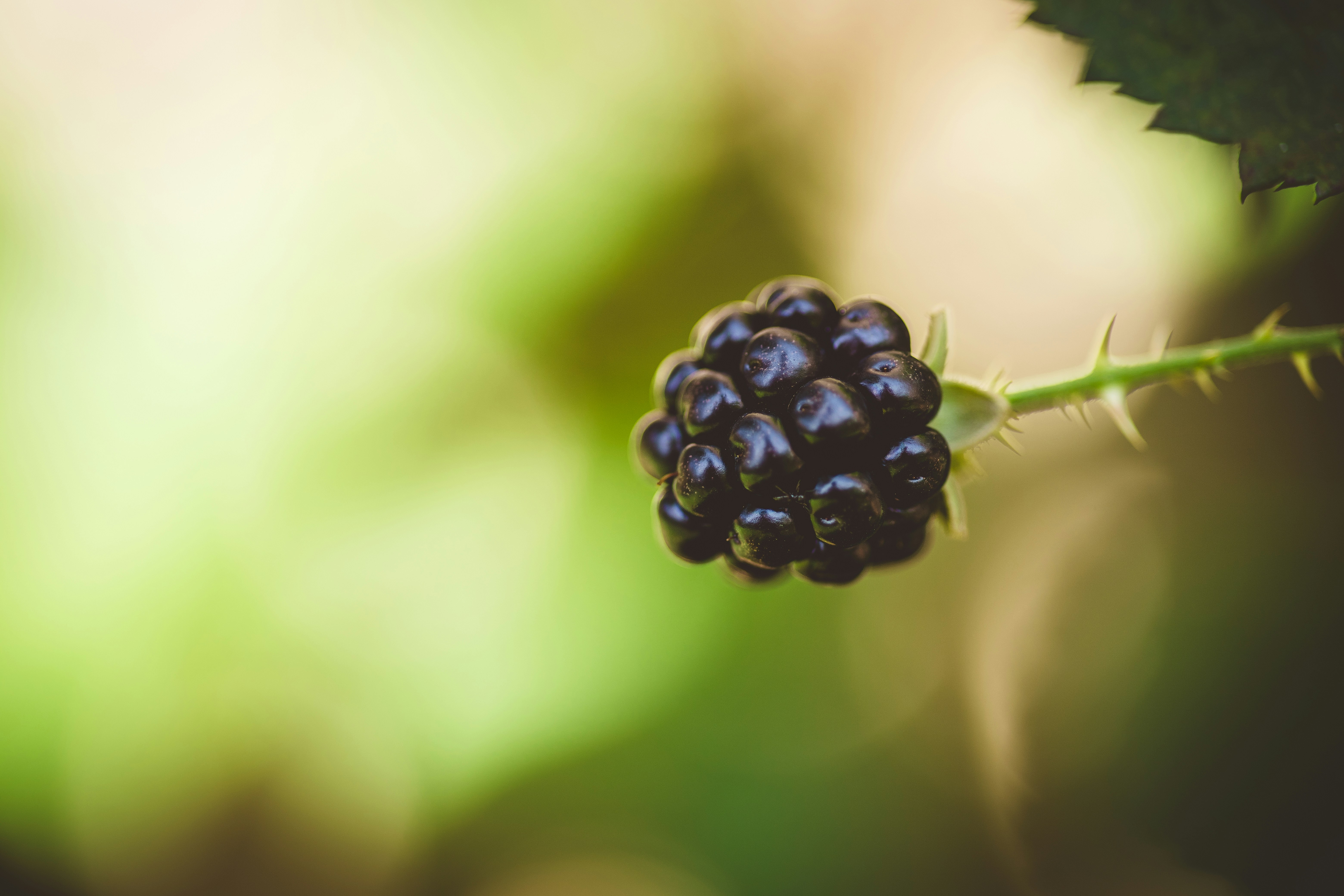 Photo by rrodriguesim