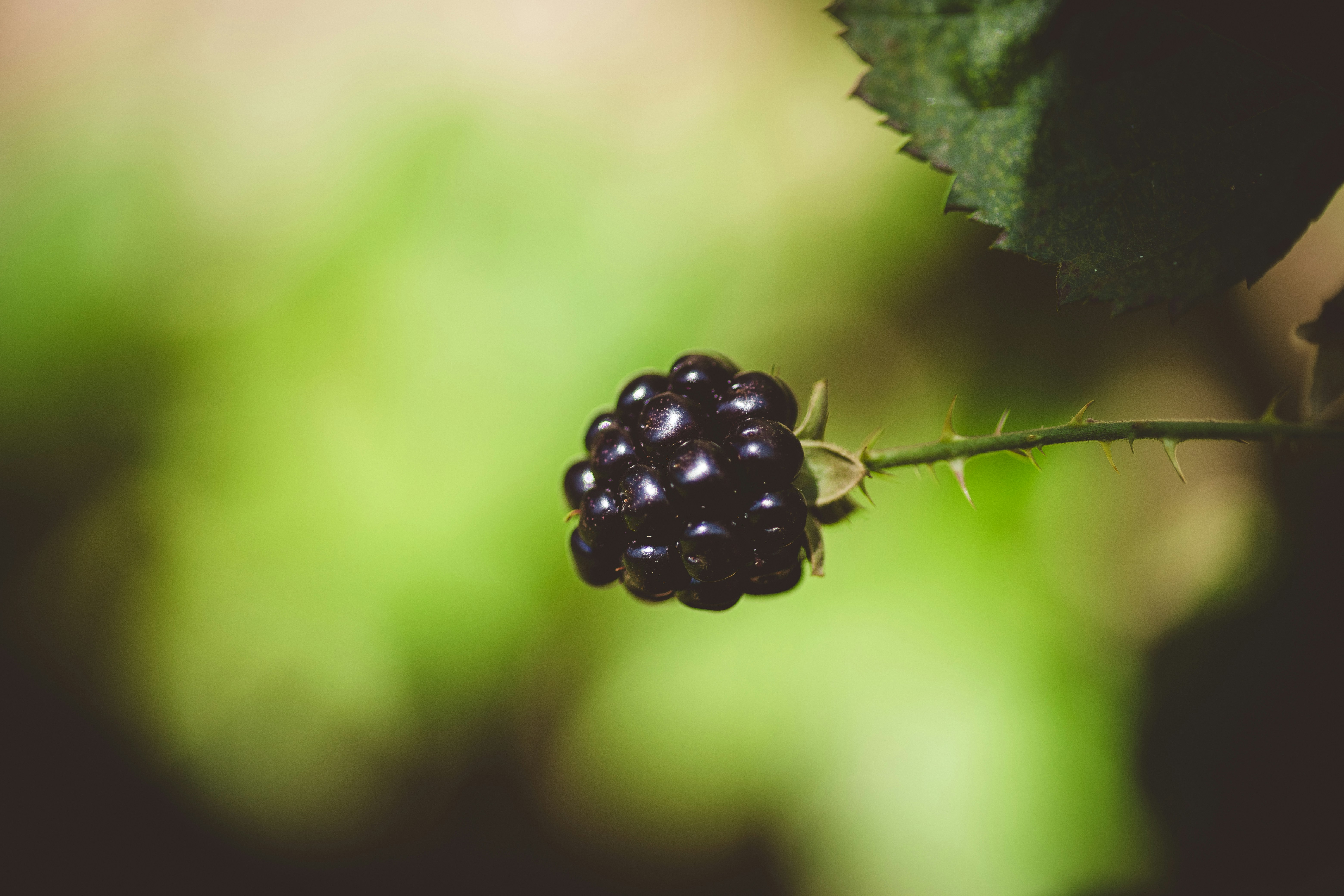 Photo by rrodriguesim