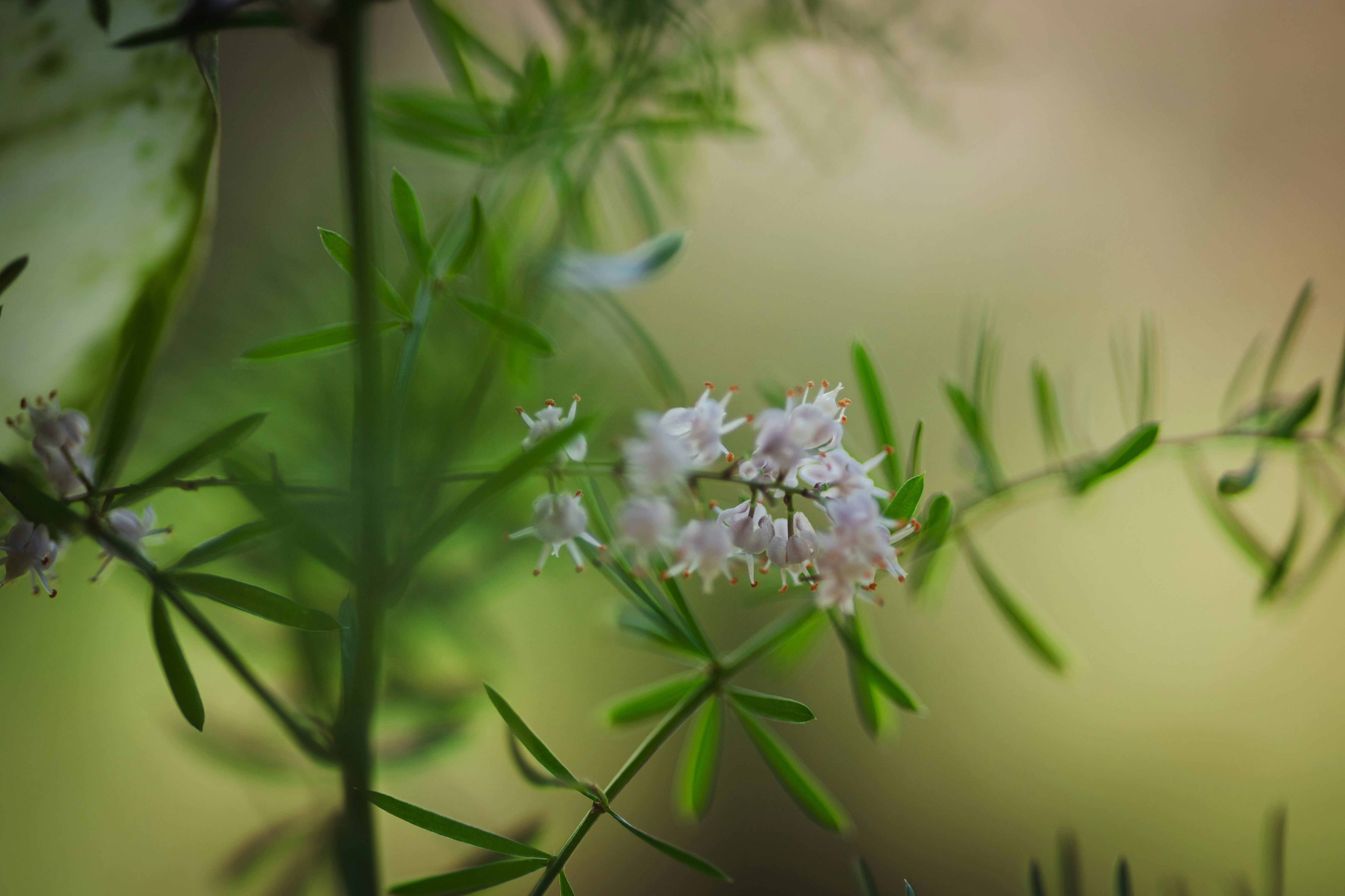 Photo by rrodriguesim