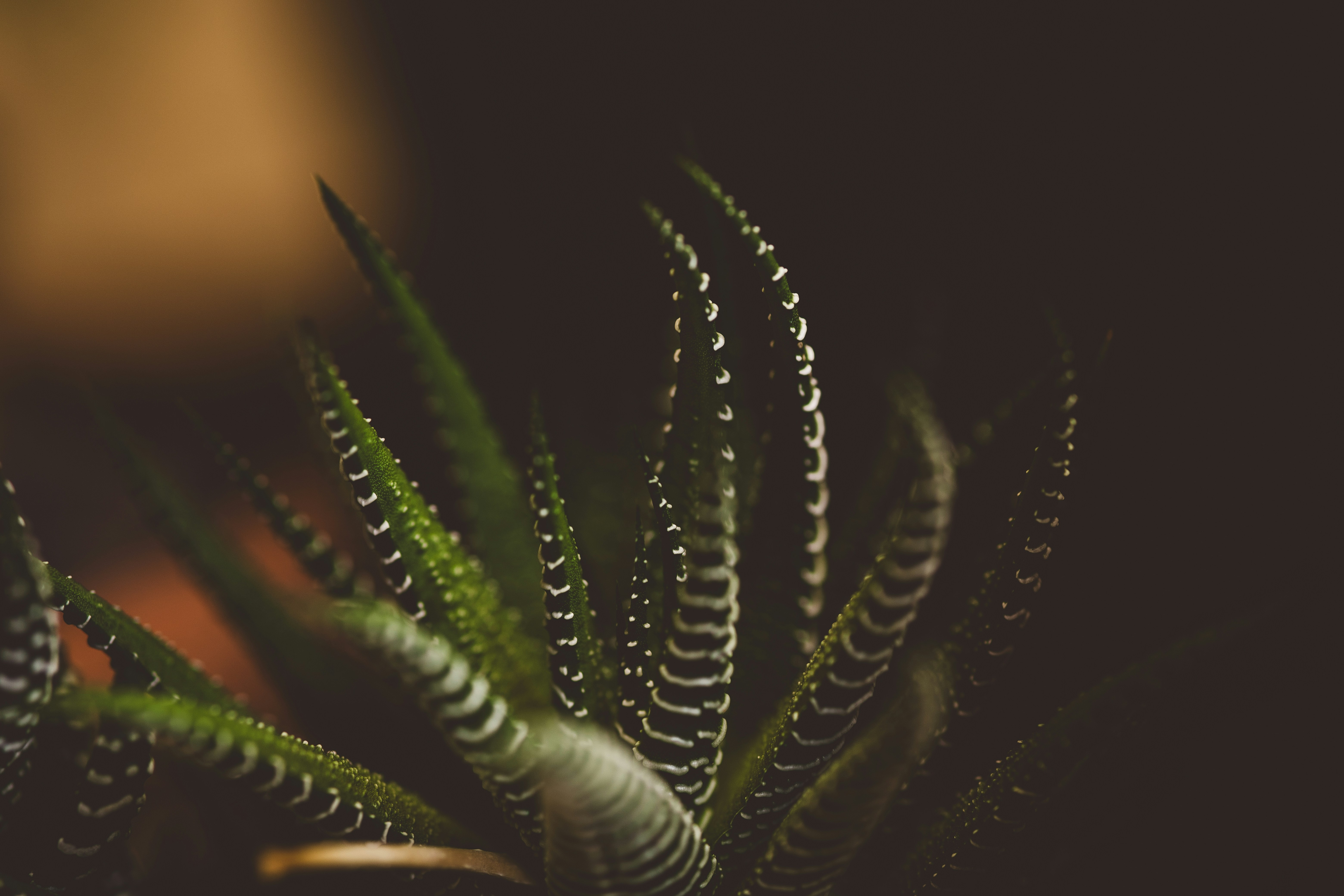 Photo by rrodriguesim