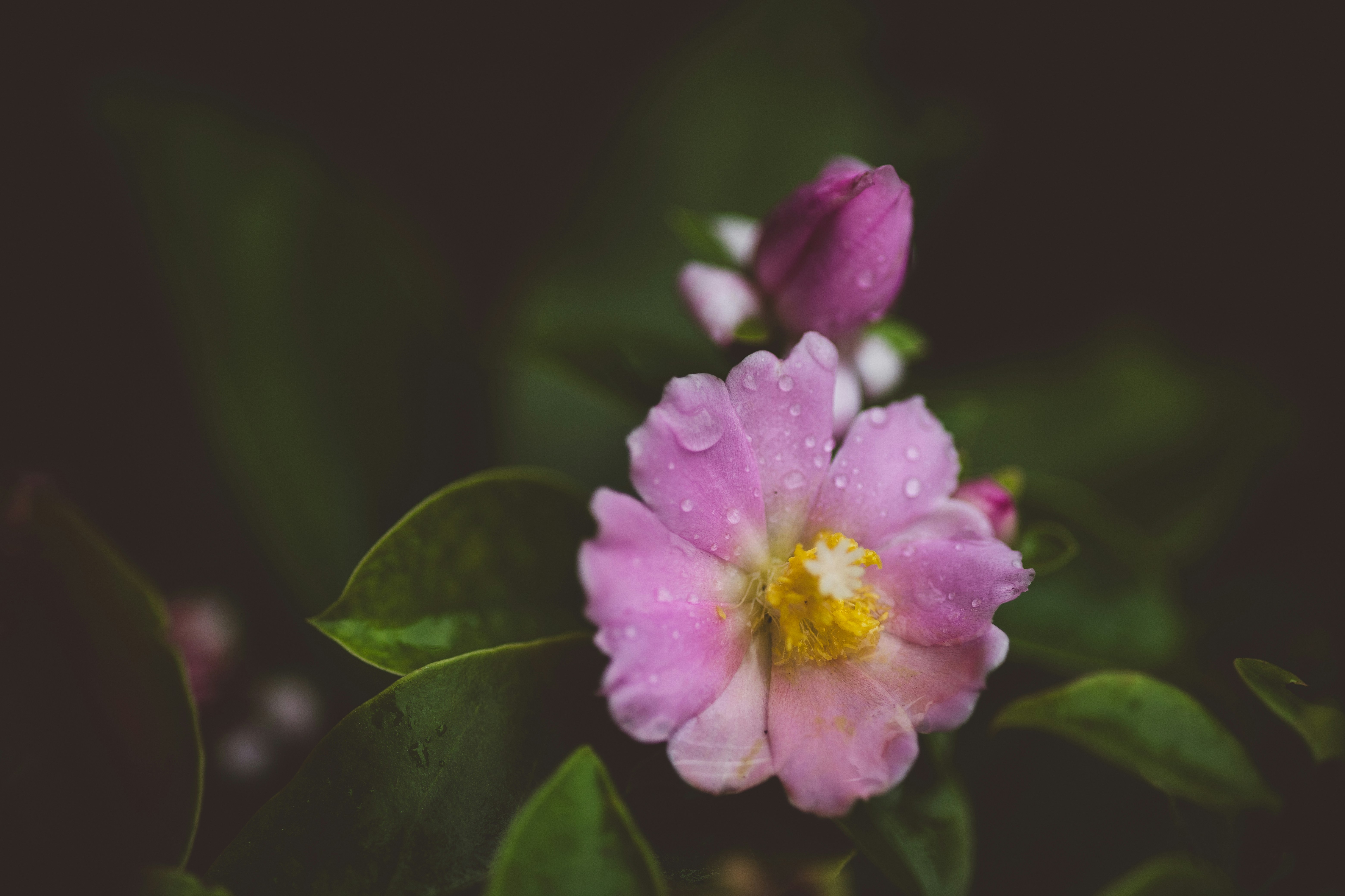 Photo by rrodriguesim