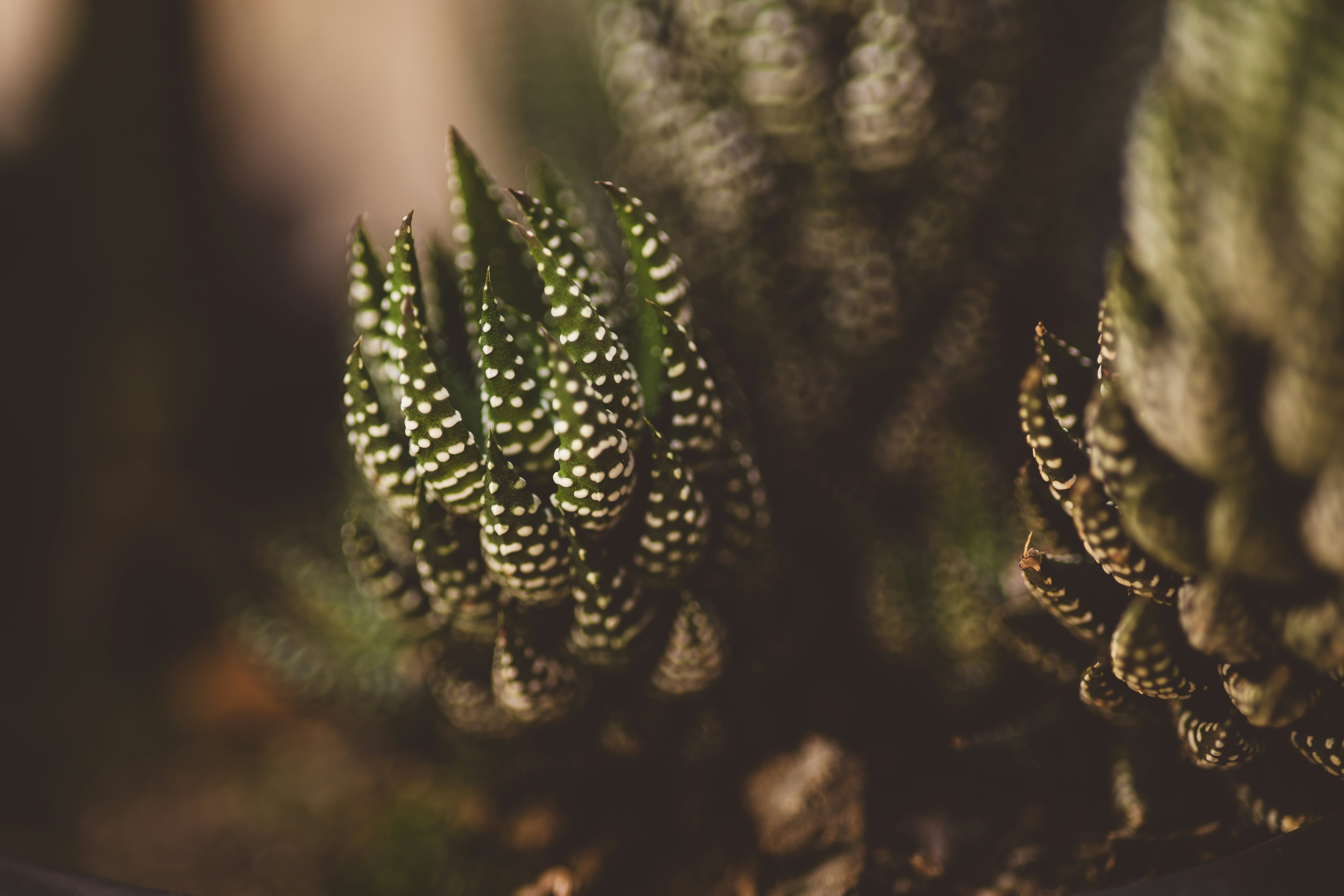 Photo by rrodriguesim