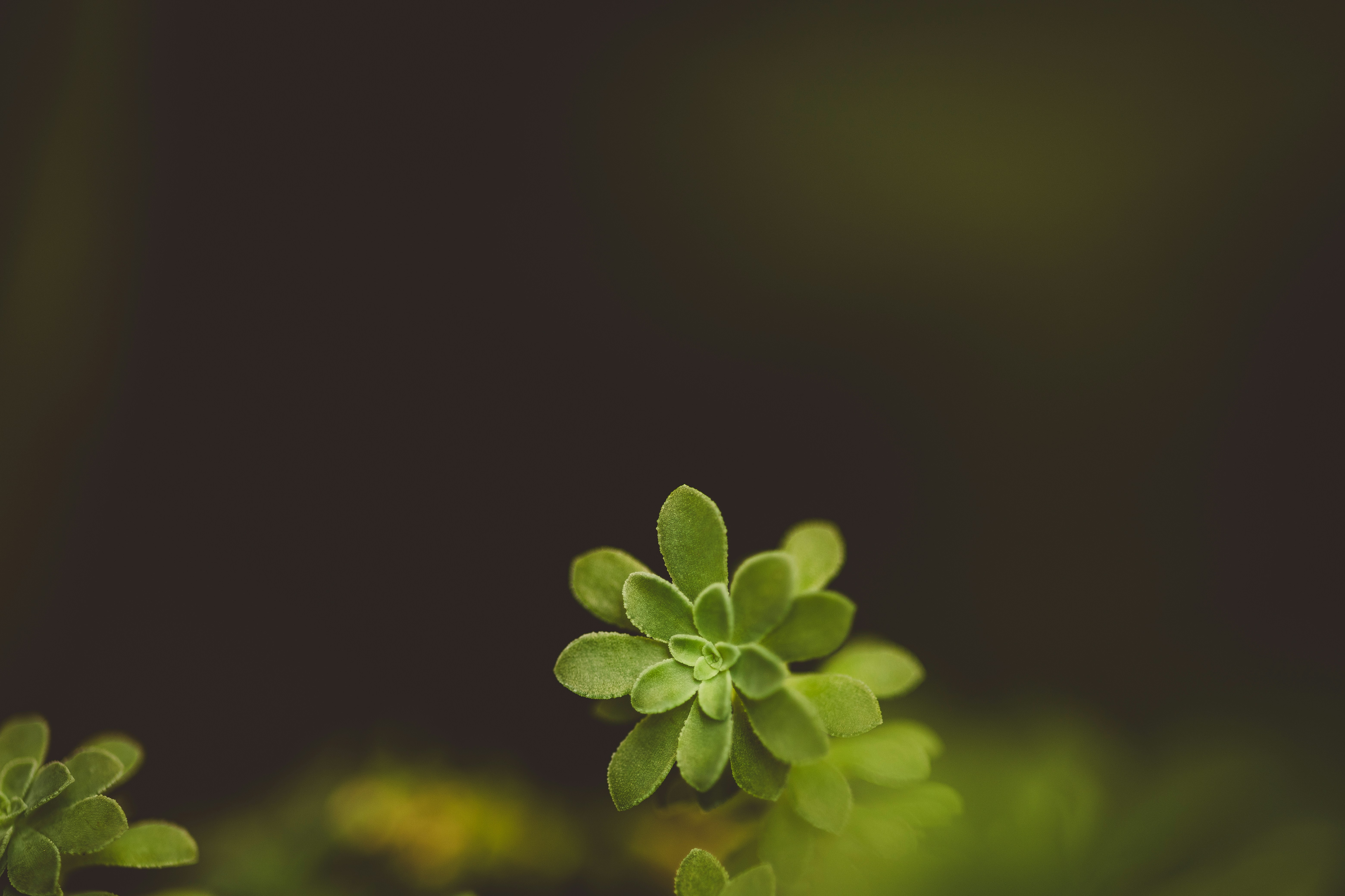 Photo by rrodriguesim