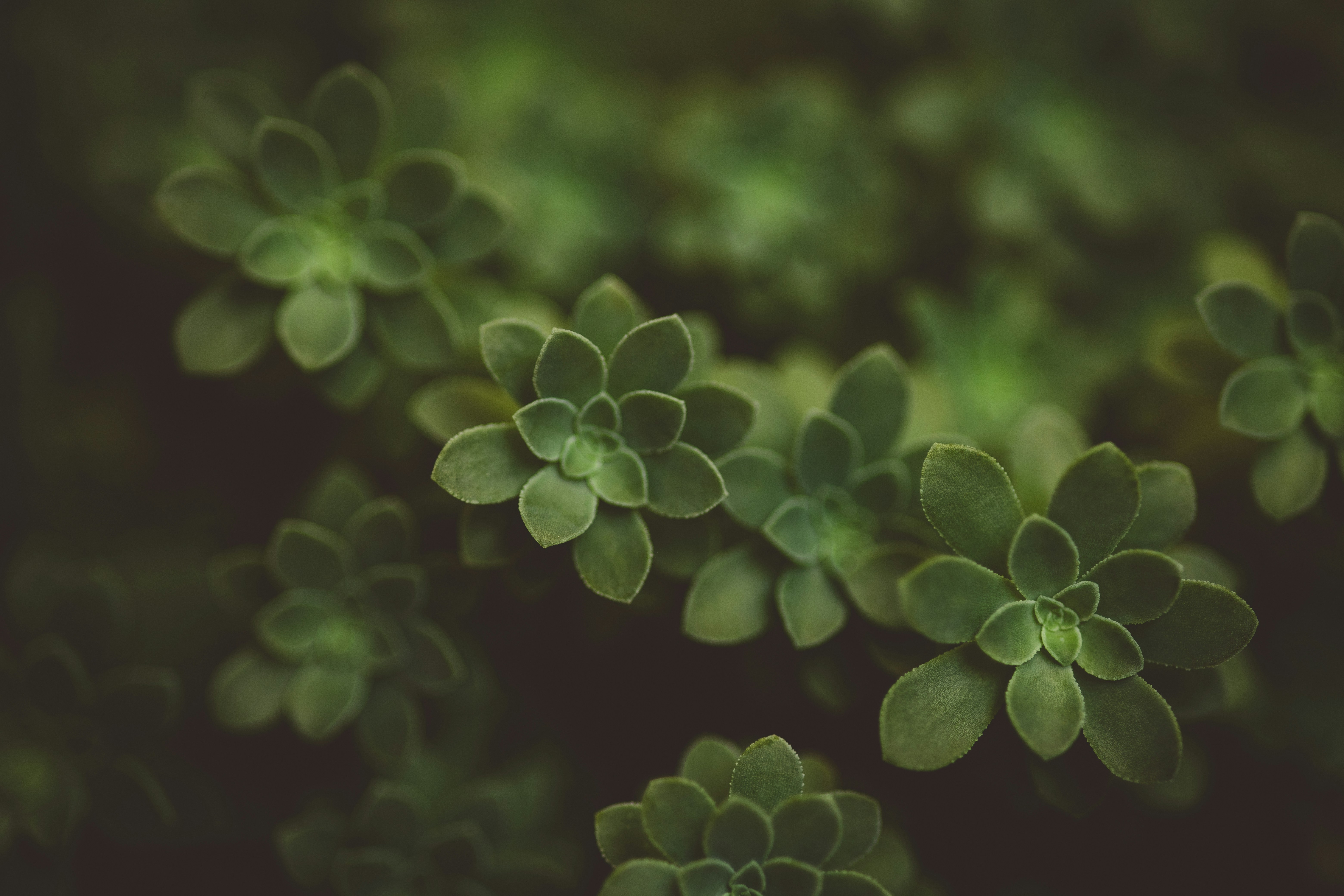 Photo by rrodriguesim