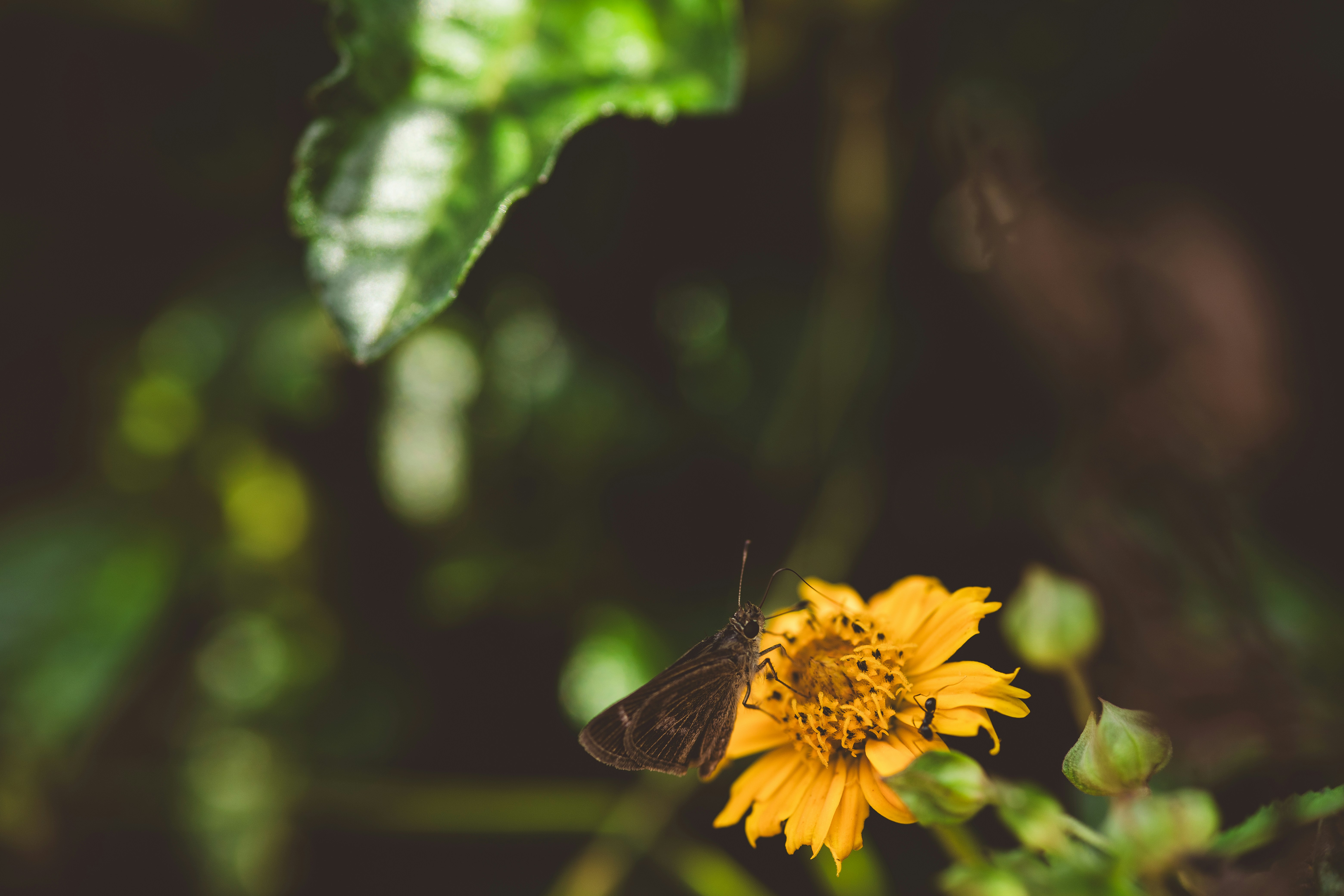 Photo by rrodriguesim