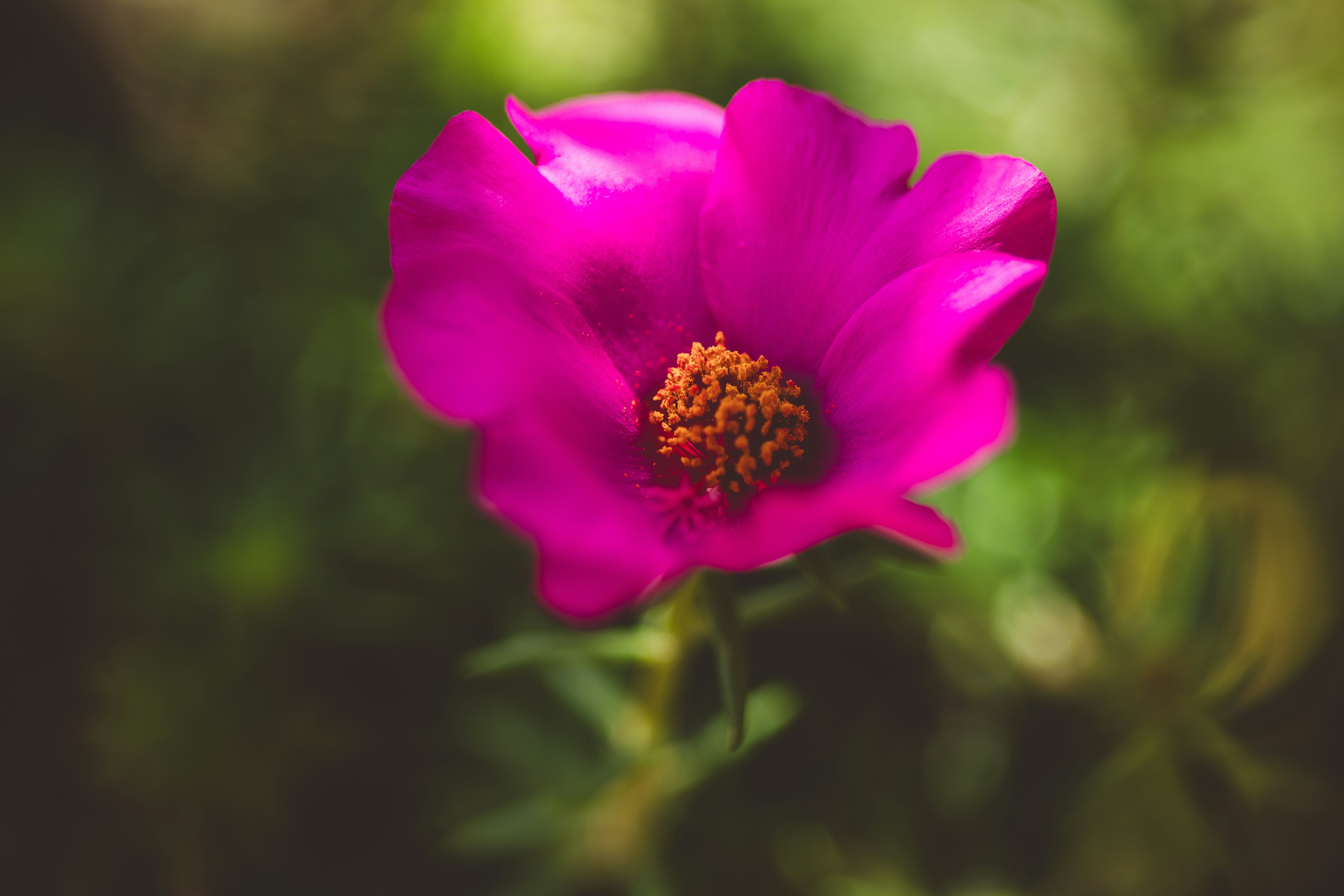 Photo by rrodriguesim