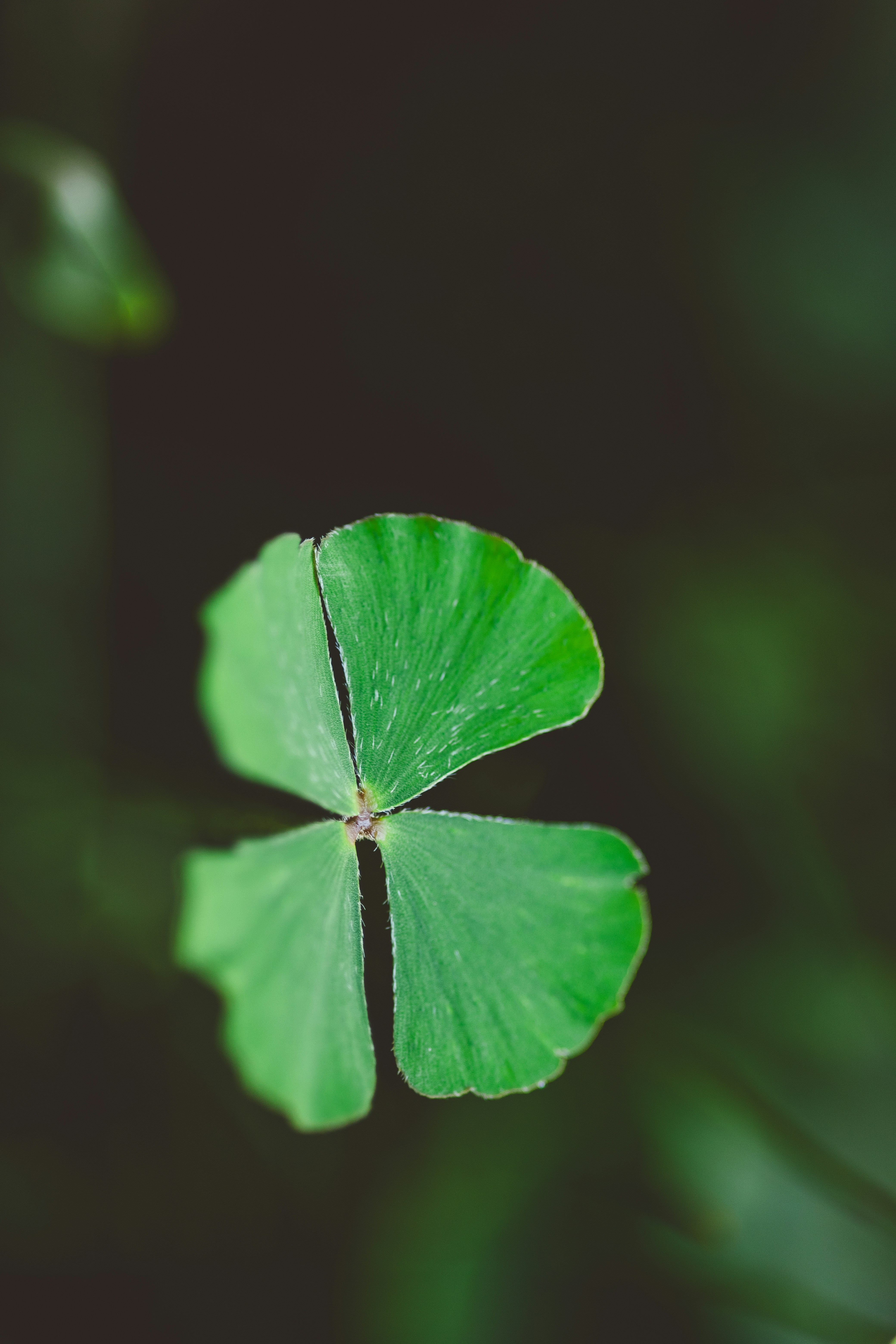 Photo by rrodriguesim